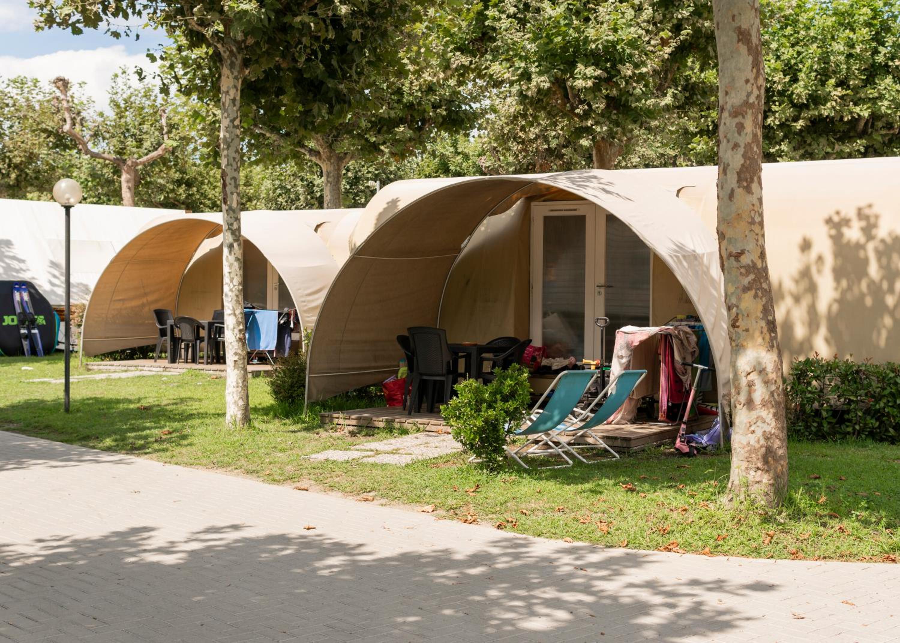 Large Tent