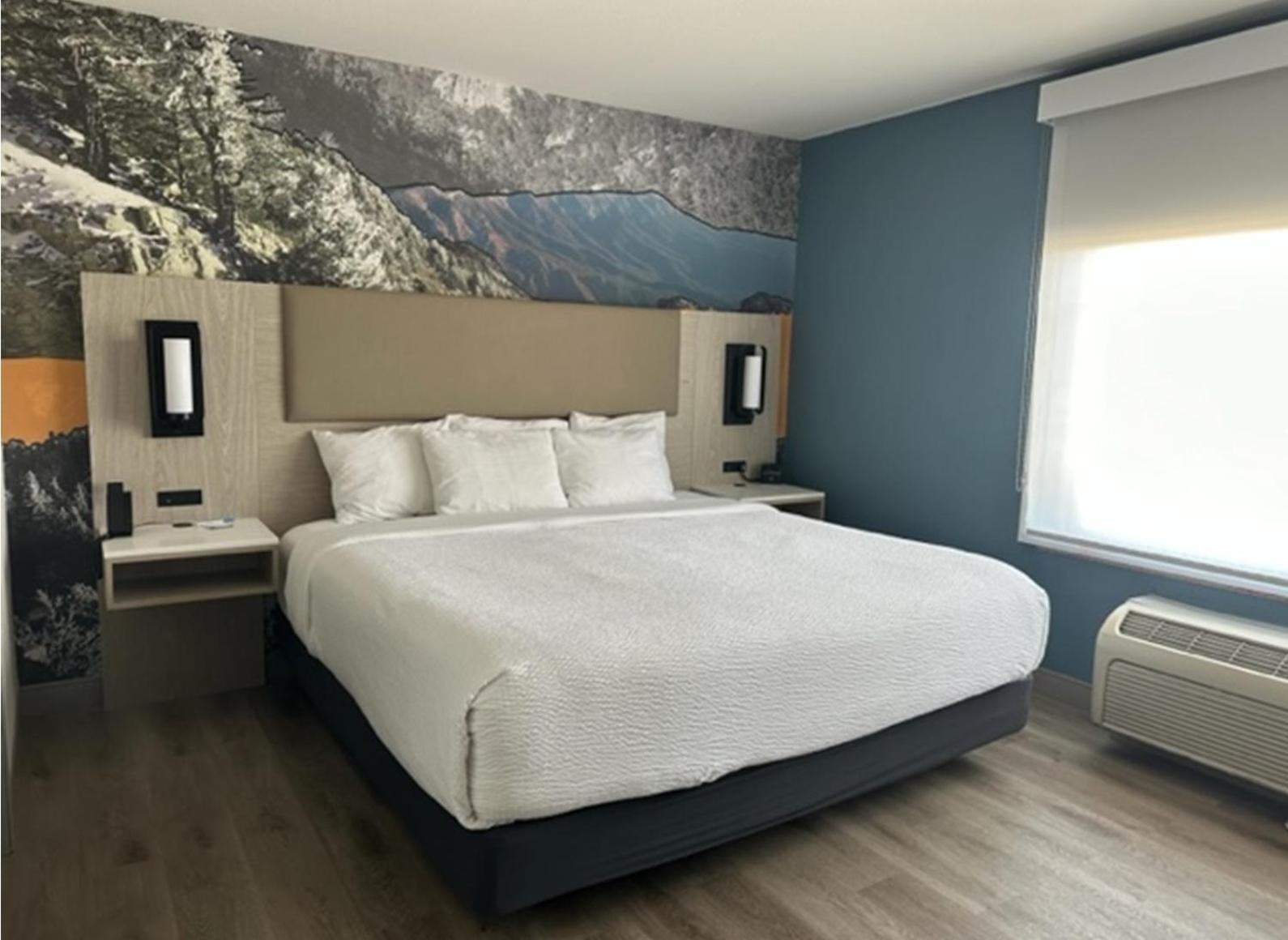 1 King Bed and 1 Sleeper Sofa, One-Bedroom Suite, Non-Smoking - Photo 1