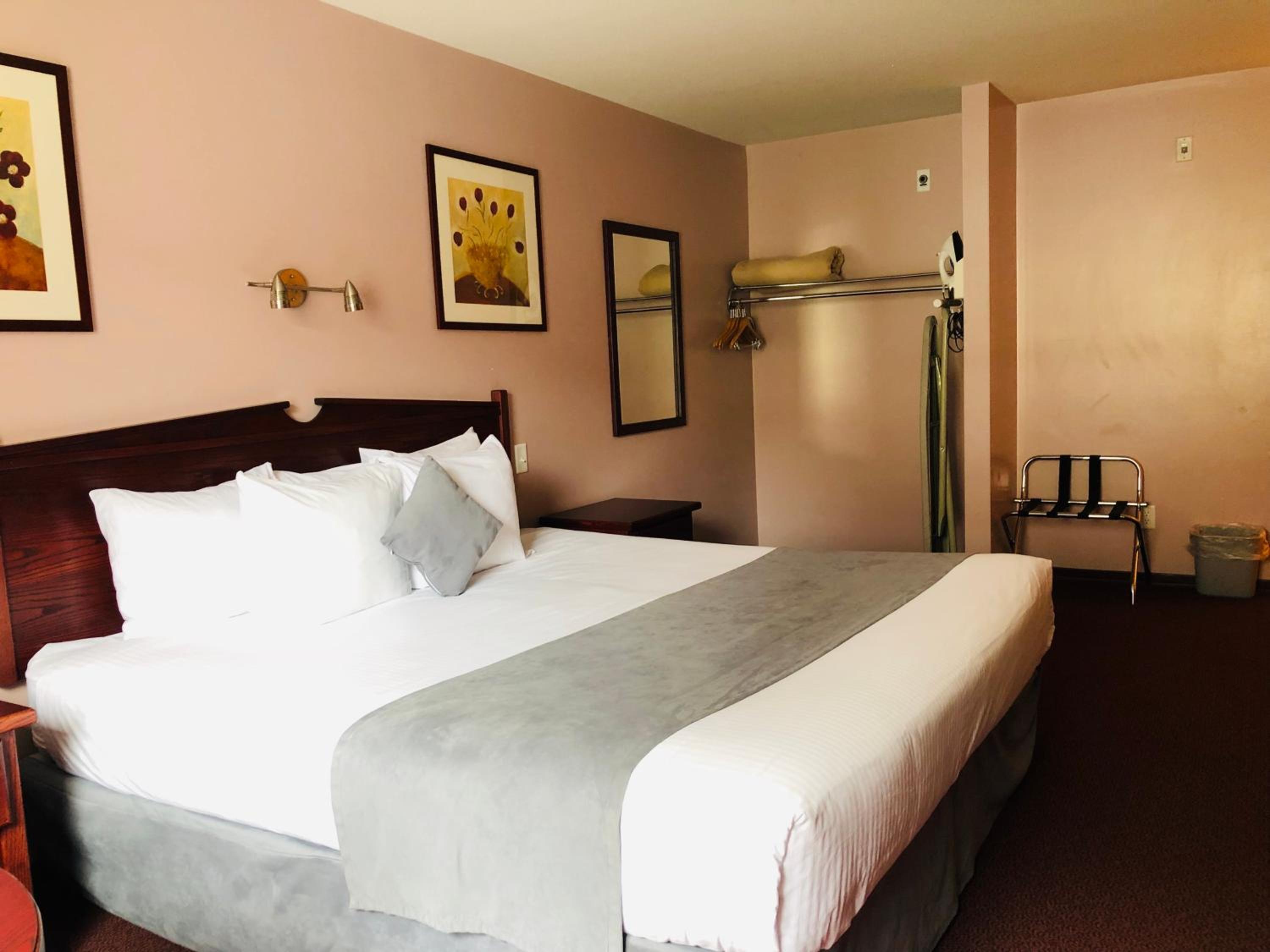 King Room - Non-Smoking - Photo 4