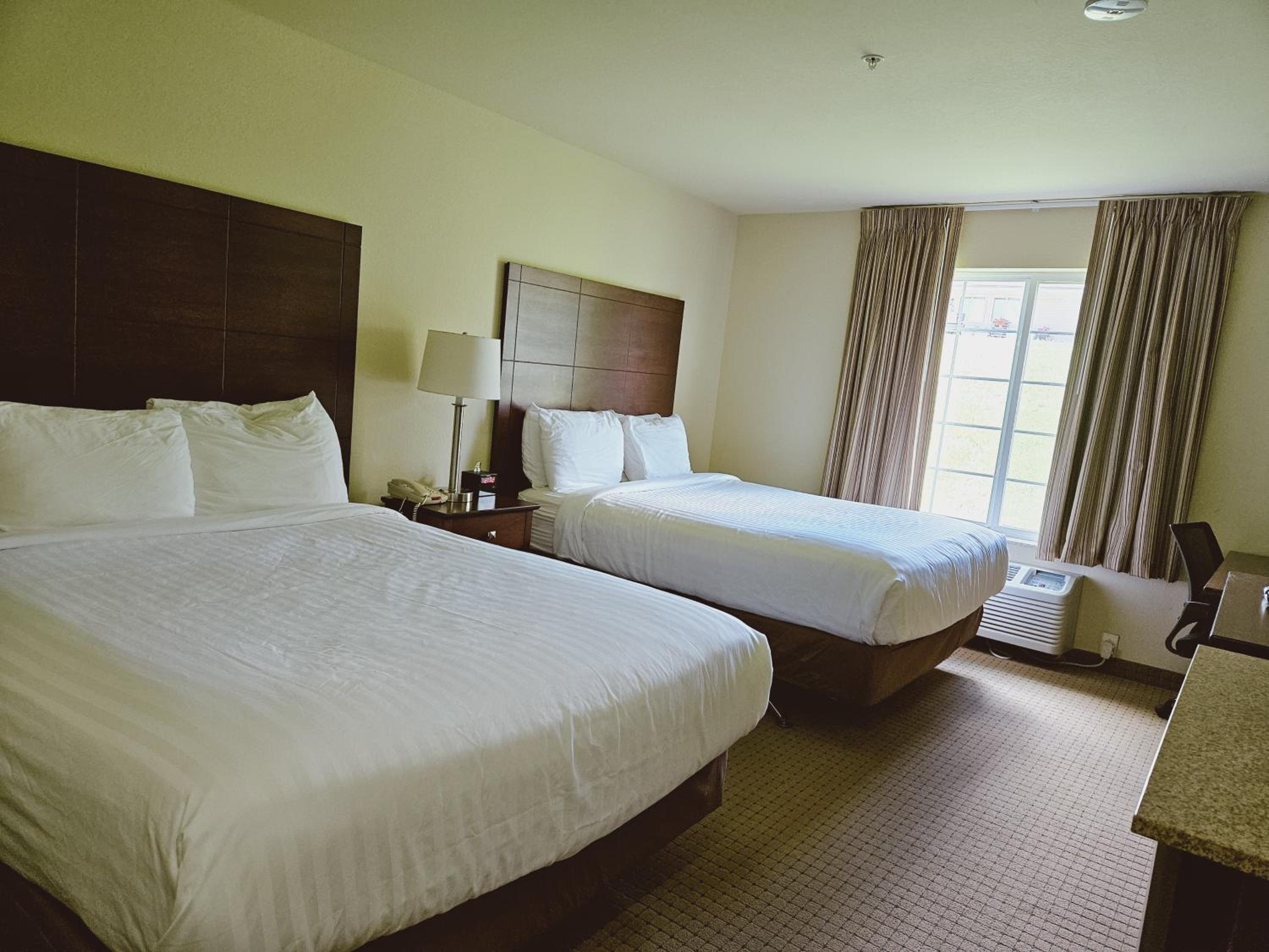 Double Room - Disability Access - Photo 1