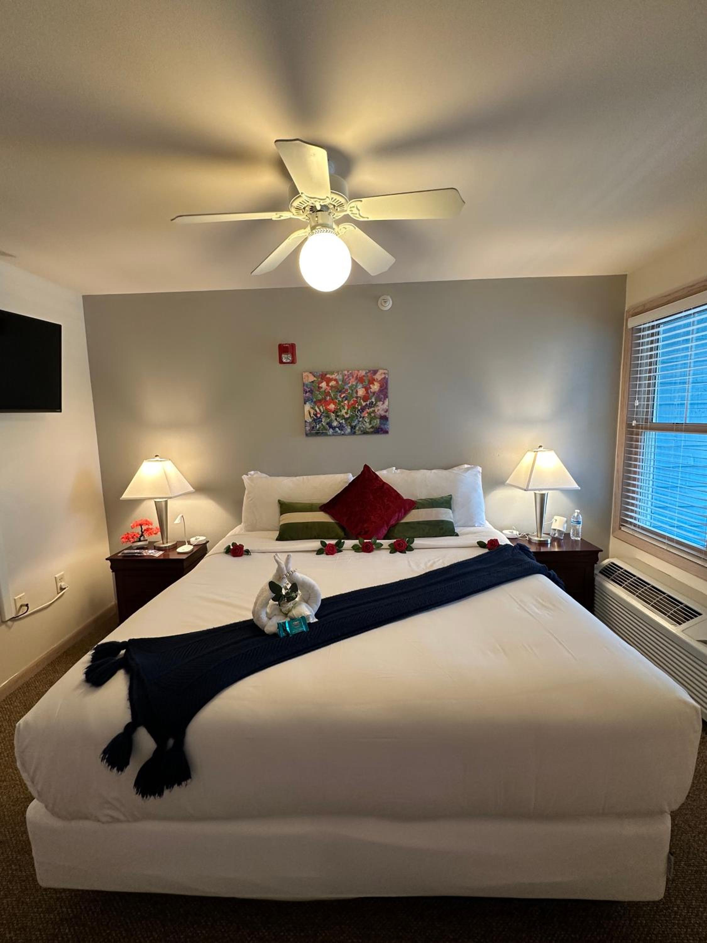 Deluxe King Suite
