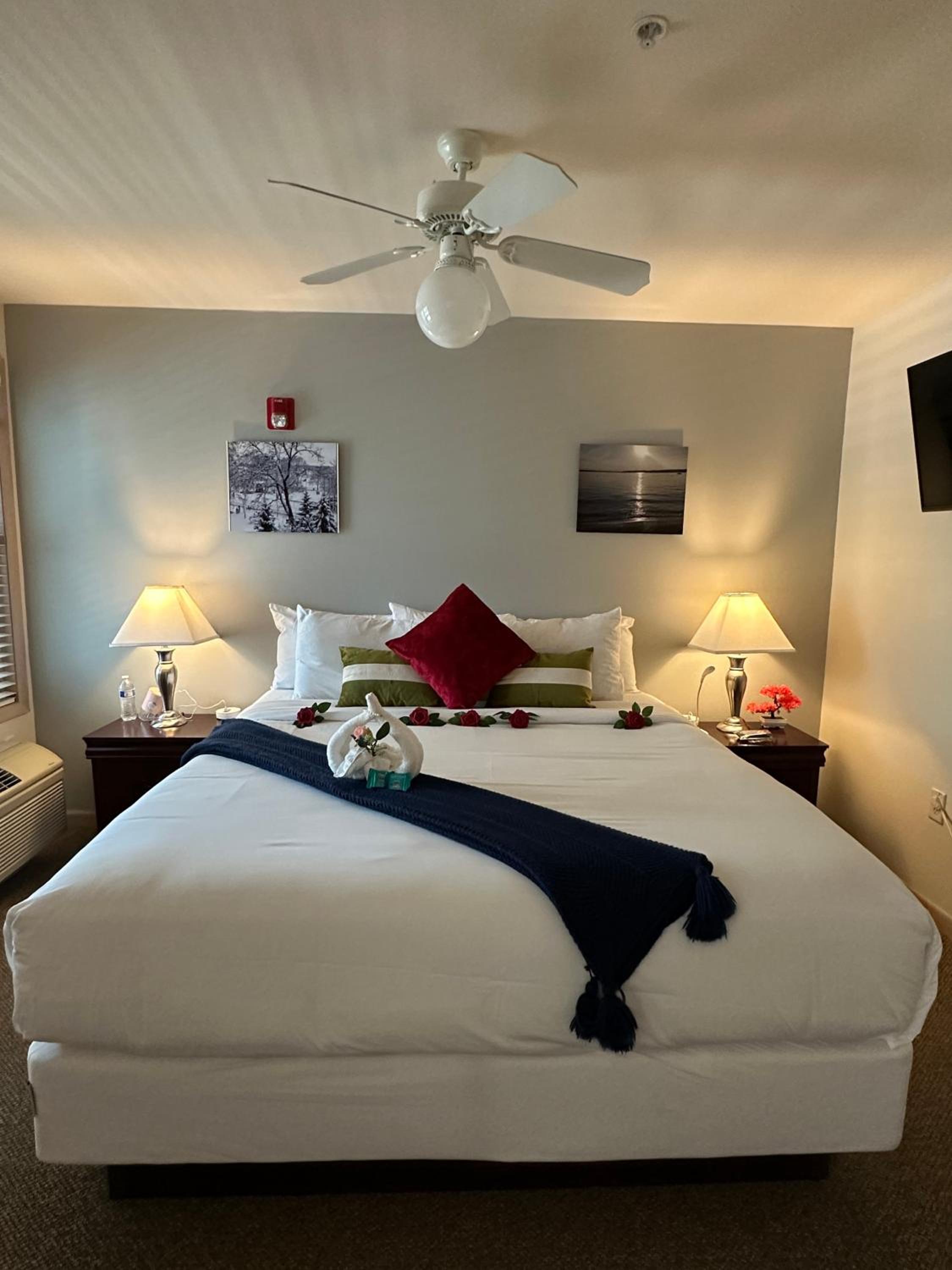 Deluxe Queen Suite