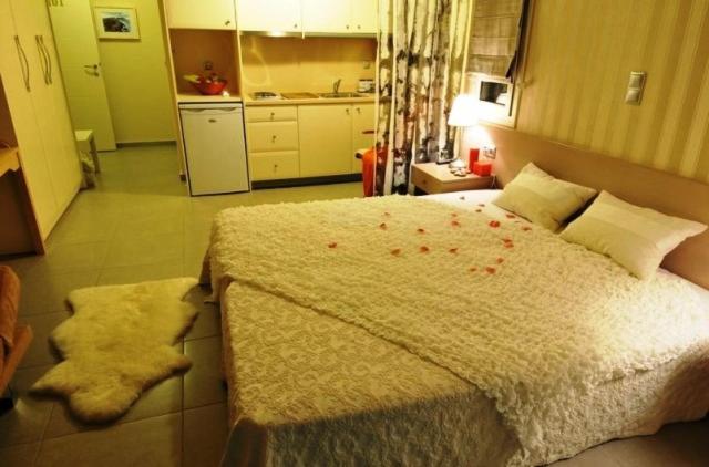 Family Studio (2 Adults + 2 Children)