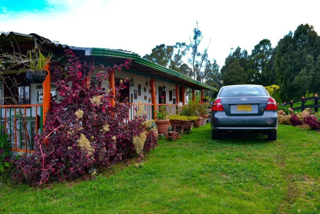 Three-Bedroom House photo 3