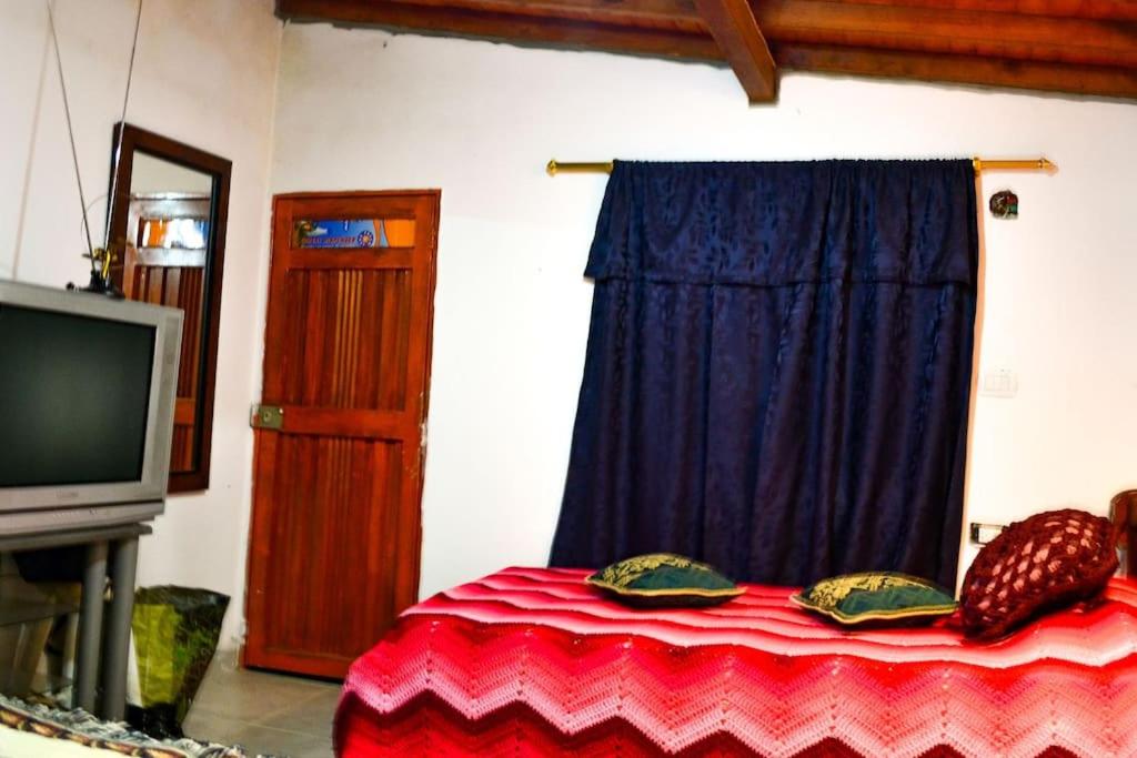 Three-Bedroom House photo 1