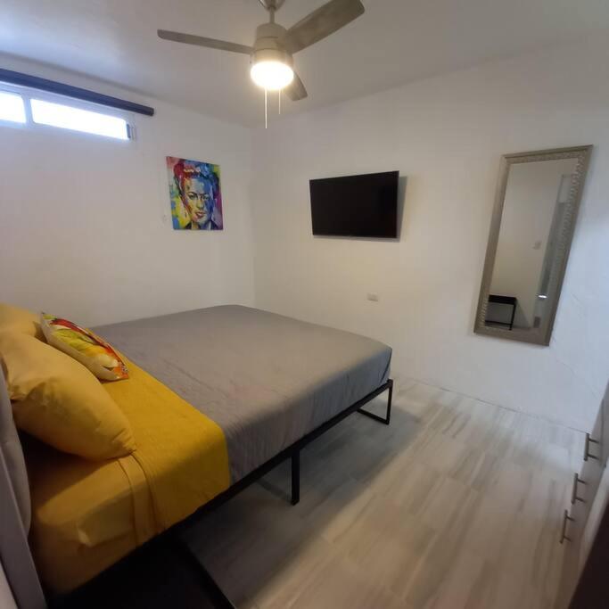 One-Bedroom Apartment photo 3