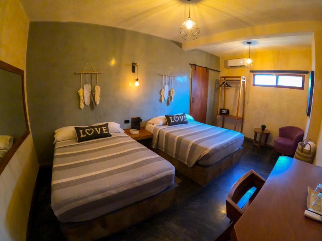 Twin Room photo 2