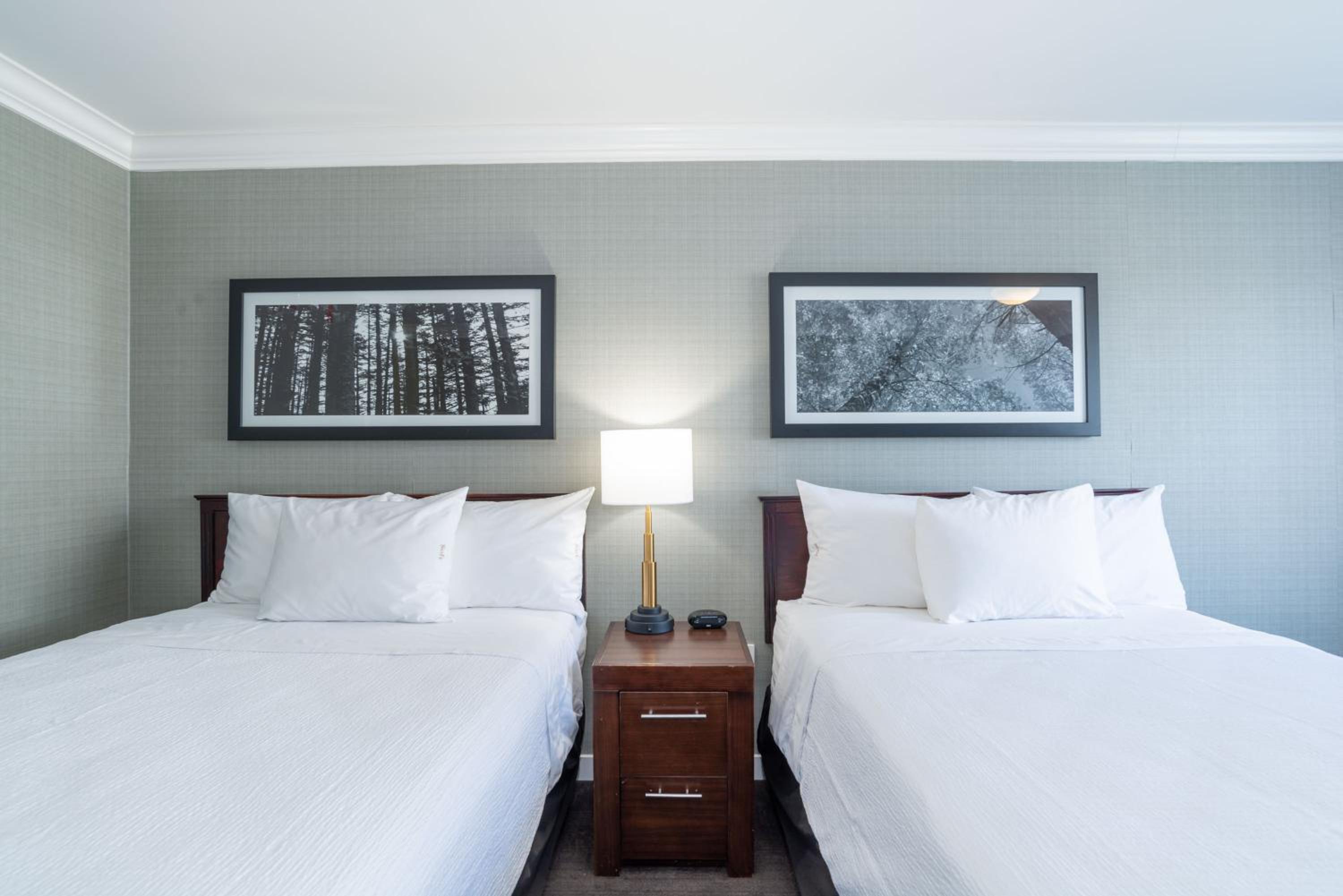 Standard Room, 2 Double Beds photo 3