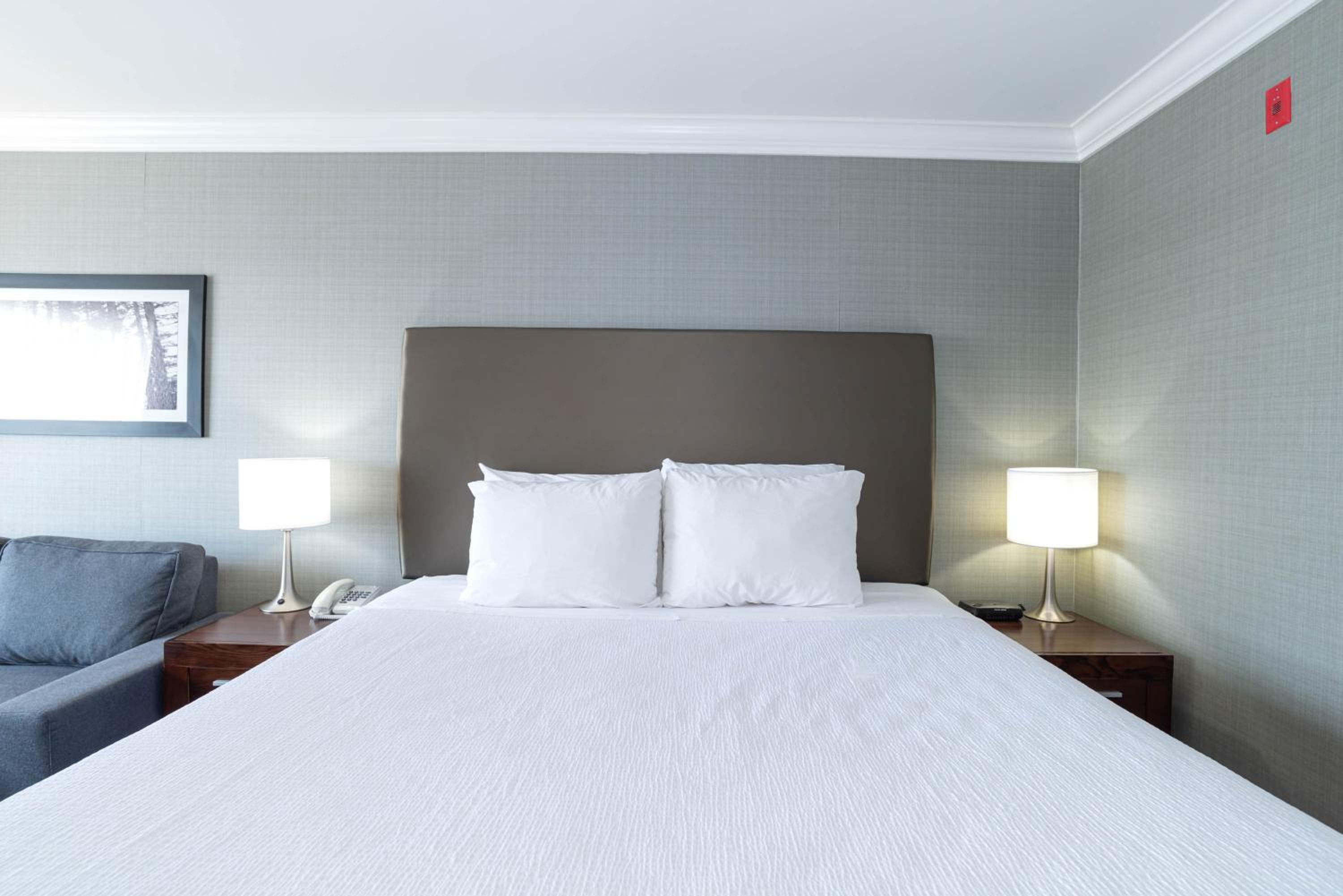 Standard Room, 1 King Bed, Sofa Bed photo 3