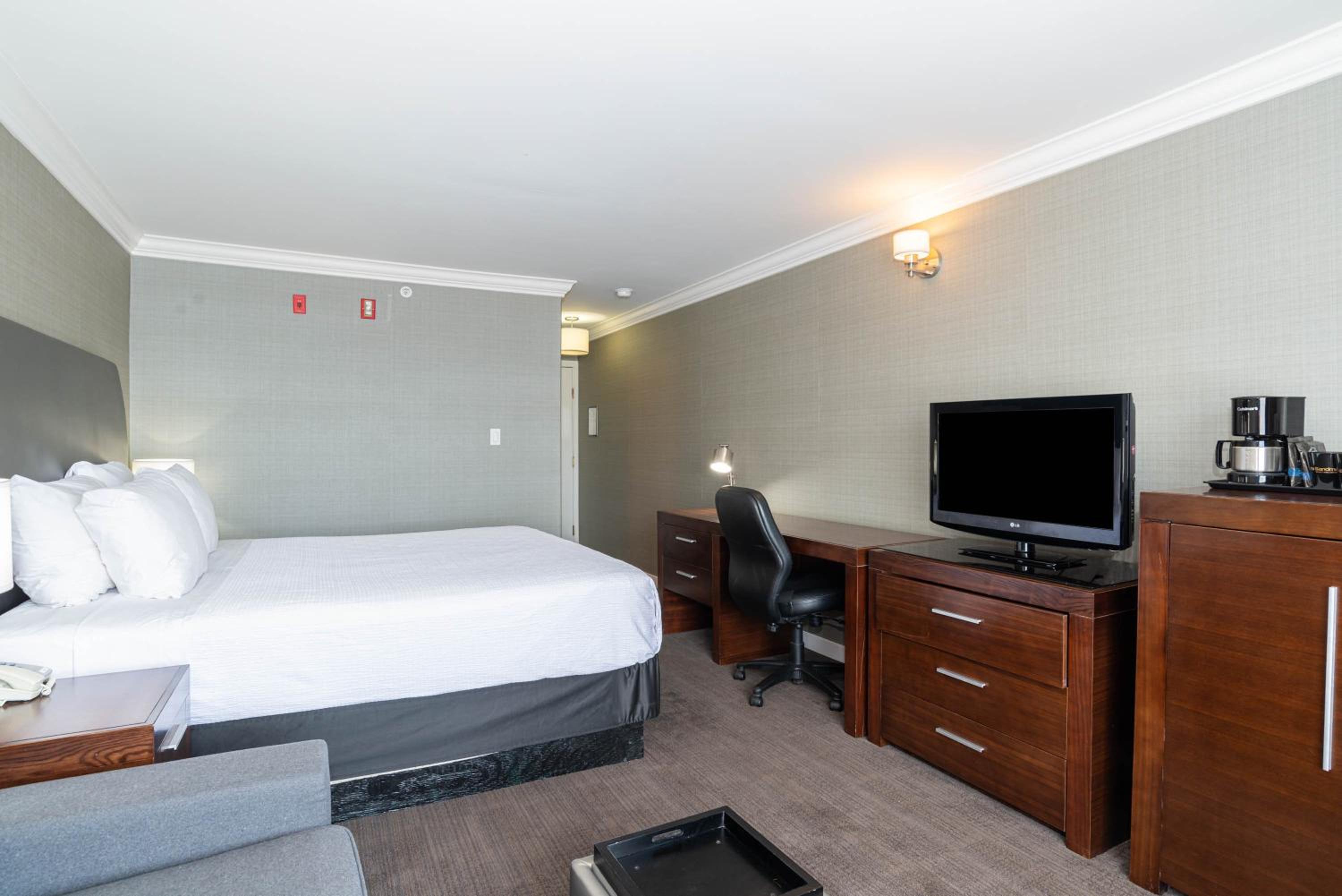 Standard Room, 1 King Bed, Sofa Bed photo 2