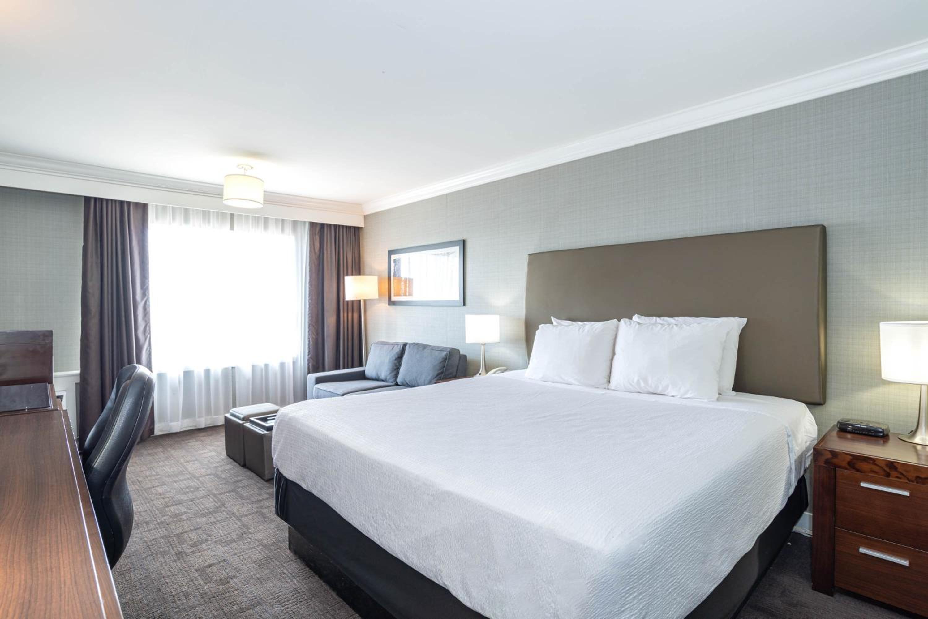 Standard Room, 1 King Bed, Sofa Bed photo 1