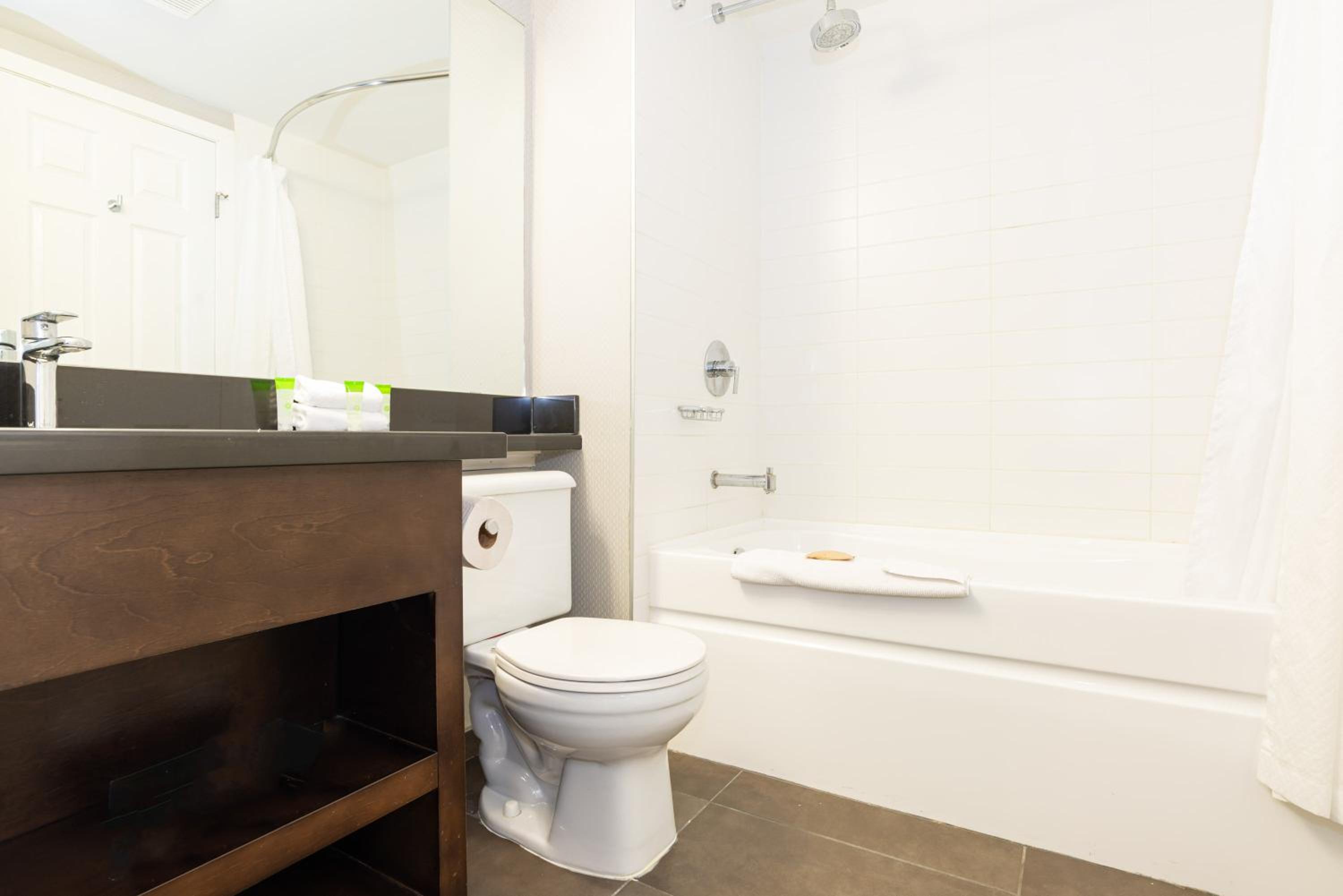 Standard Suite, 1 Queen Bed, Kitchenette - Photo 6