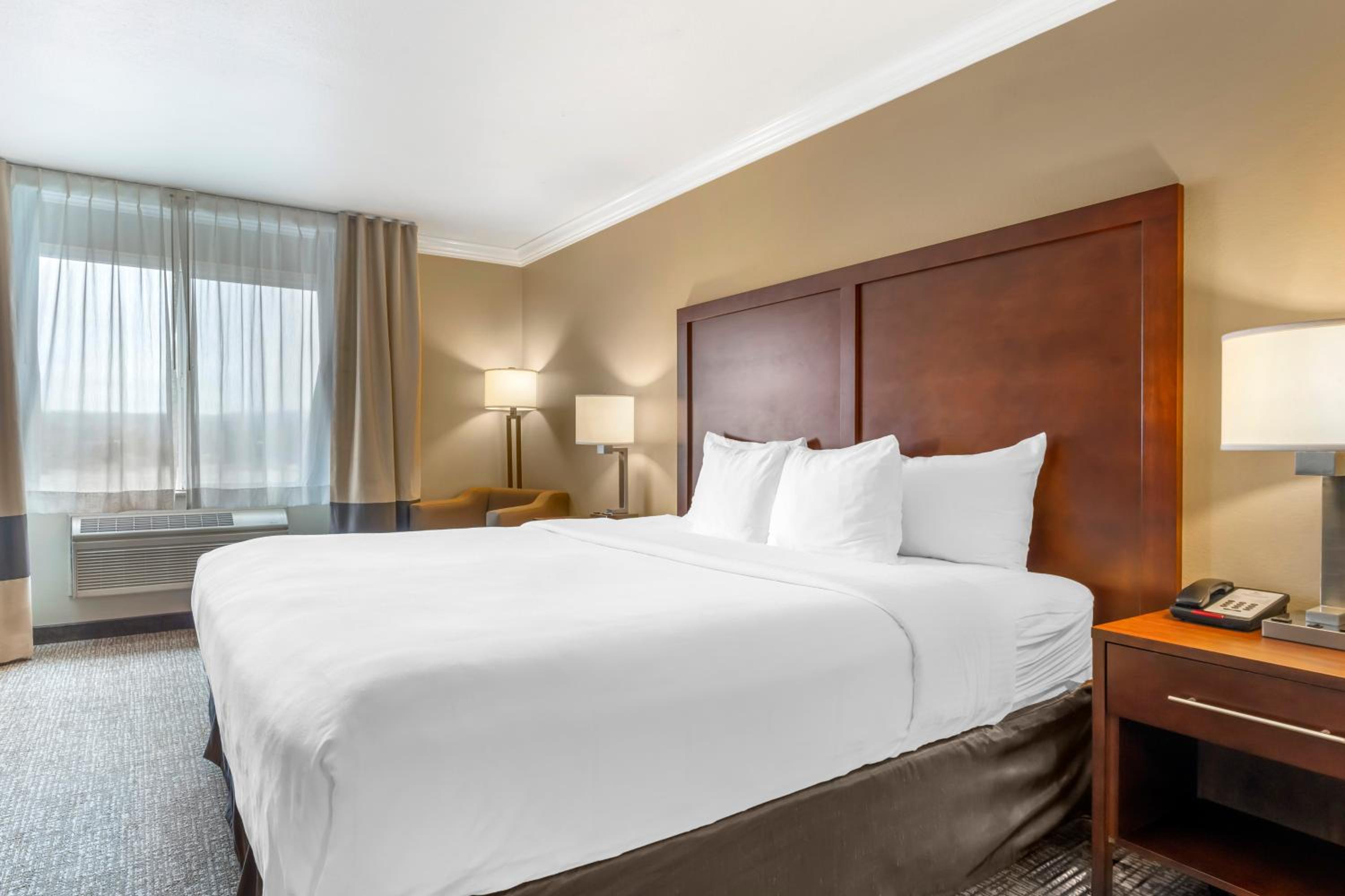 King Suite with Sofa Bed - Non-Smoking - Photo 8