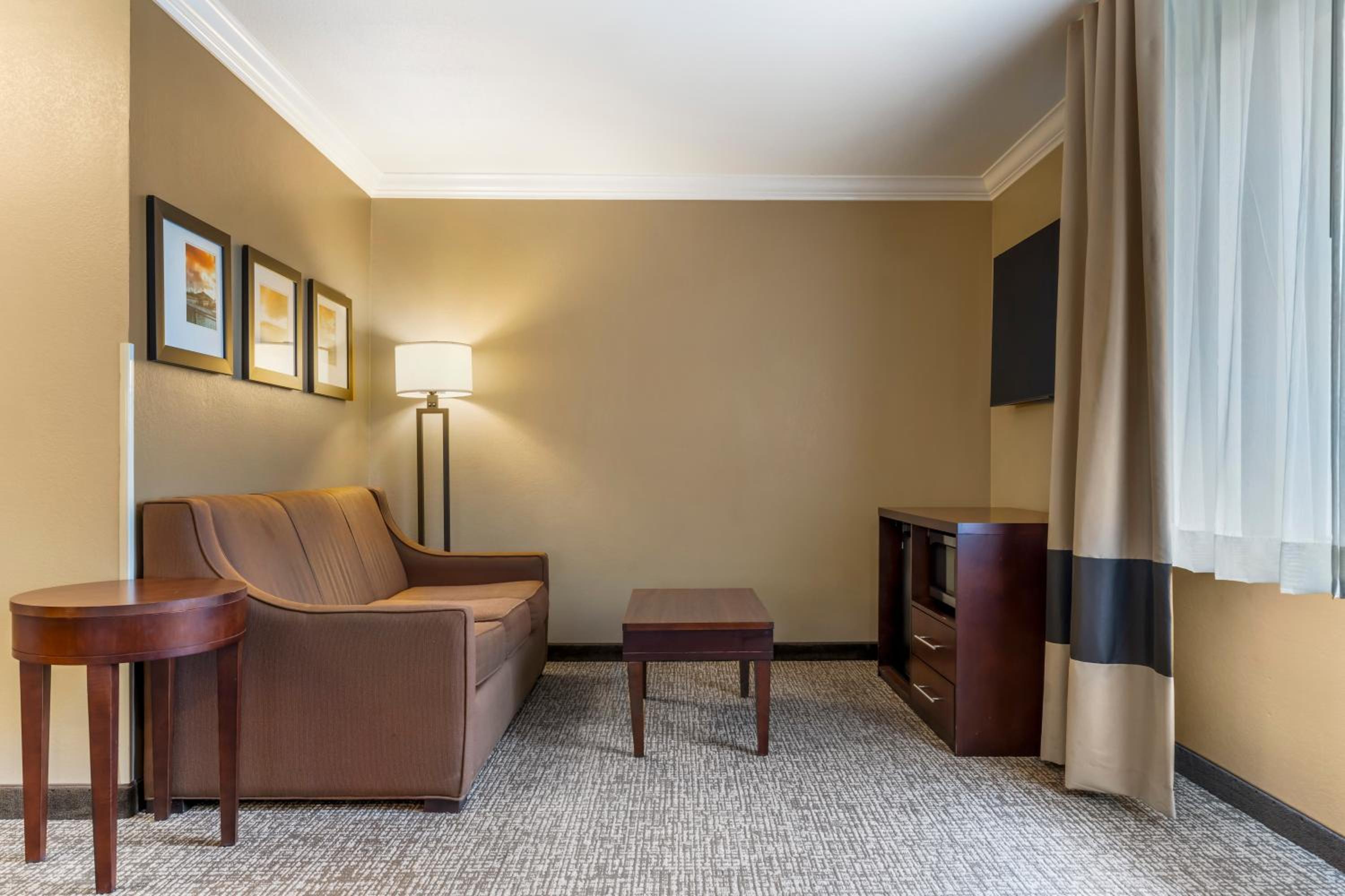 King Suite with Sofa Bed - Non-Smoking - Photo 5