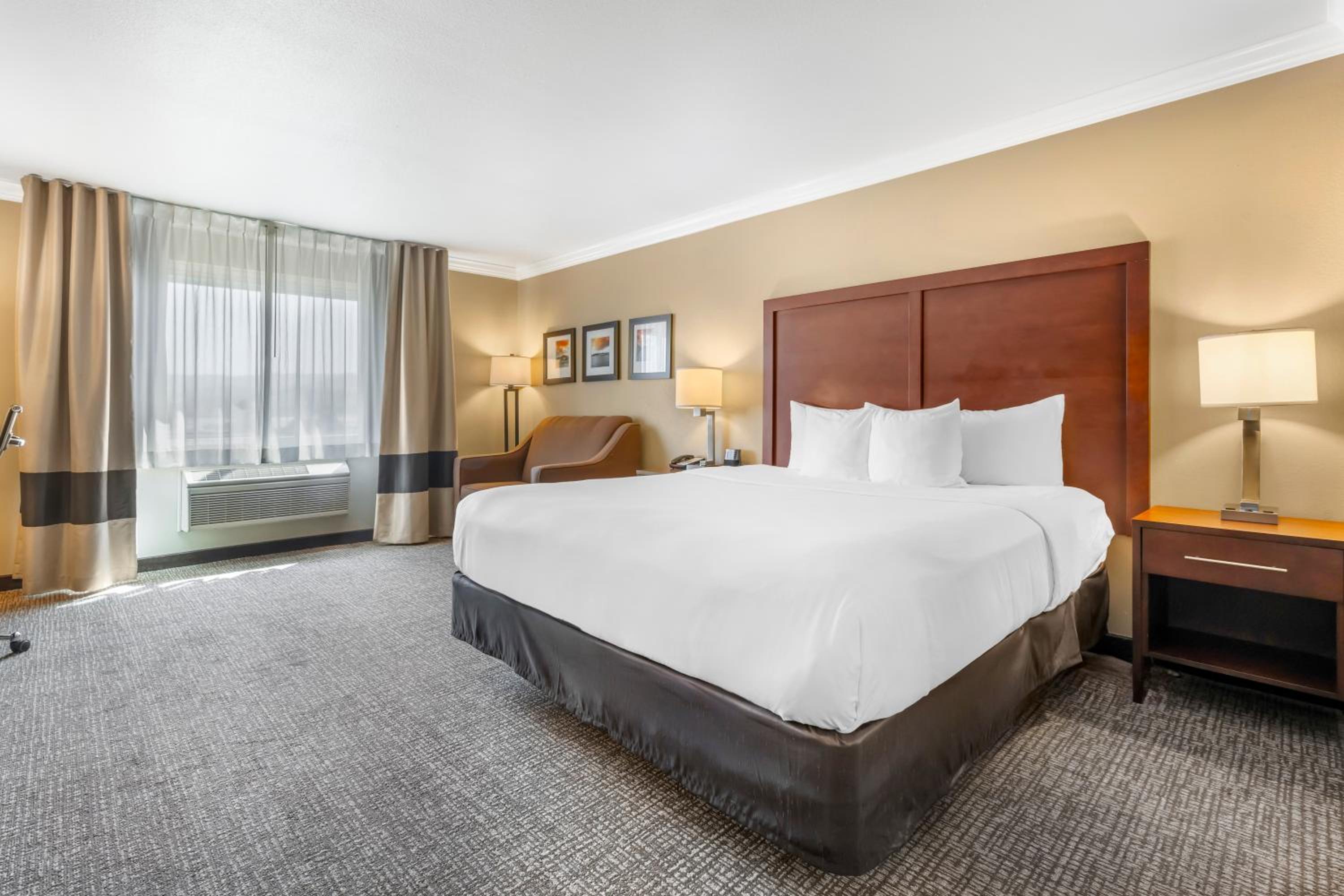 King Room - Photo 4