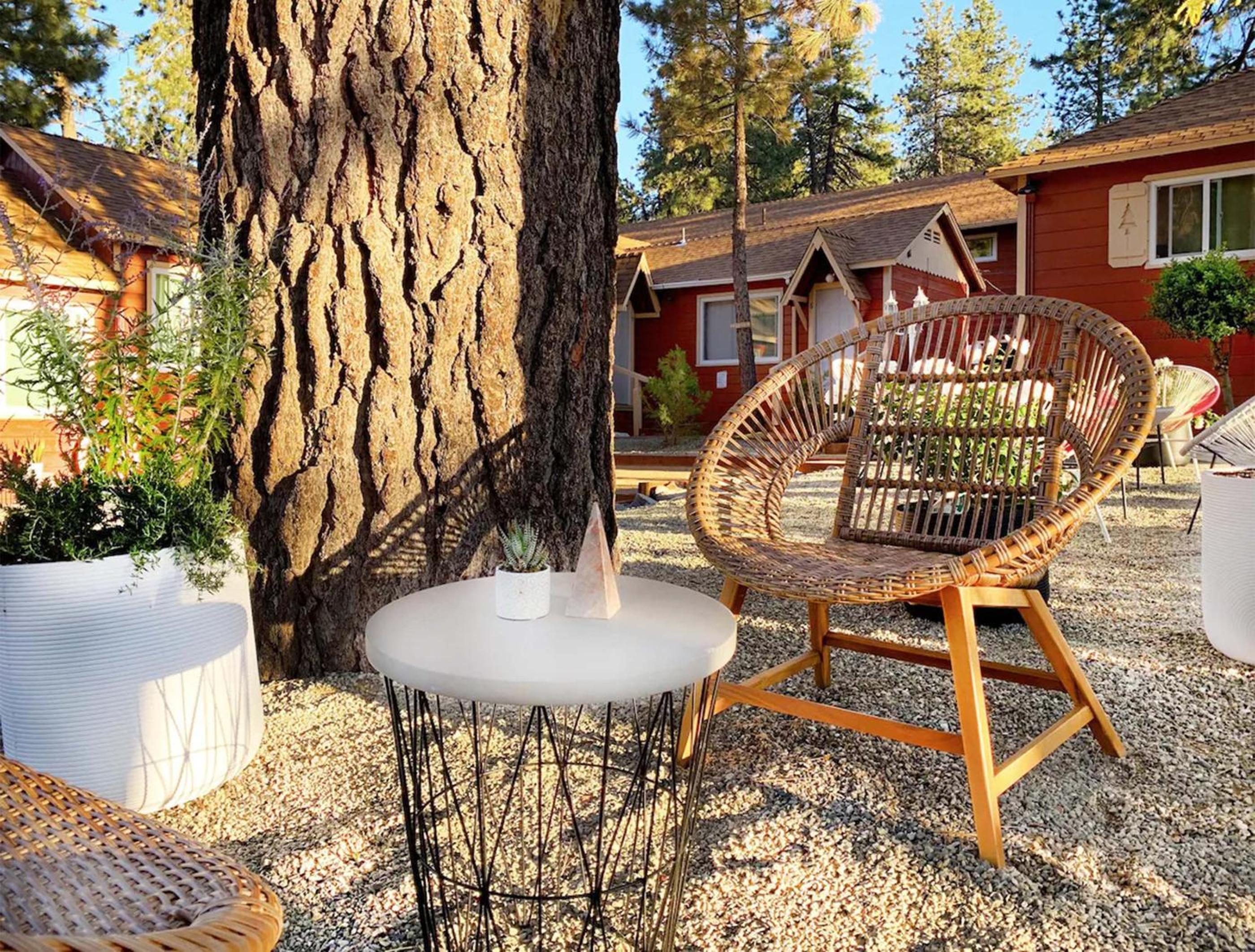 Deluxe Fireplace Cabin photo 3