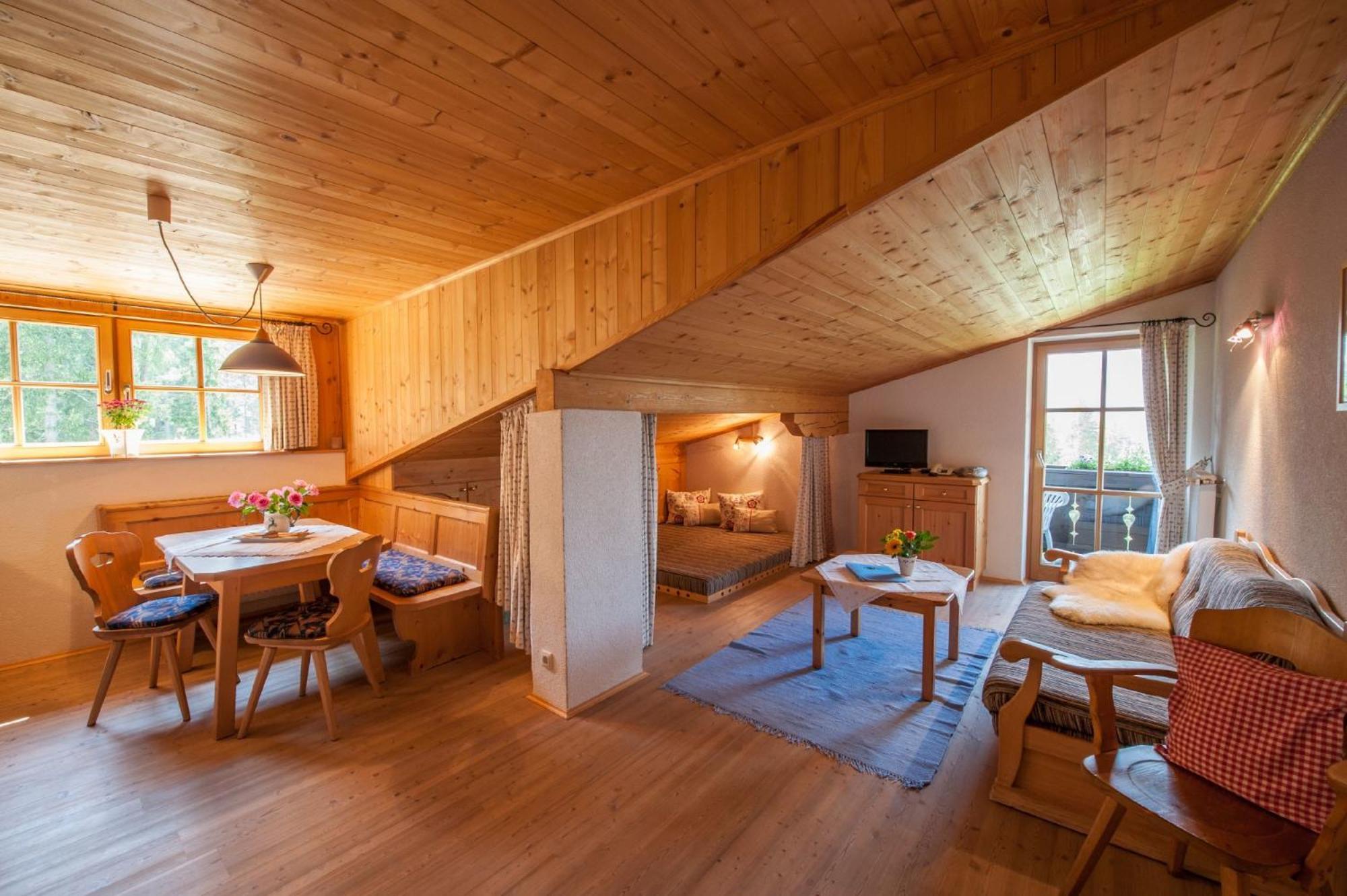 Large One-Bedroom Apartment
