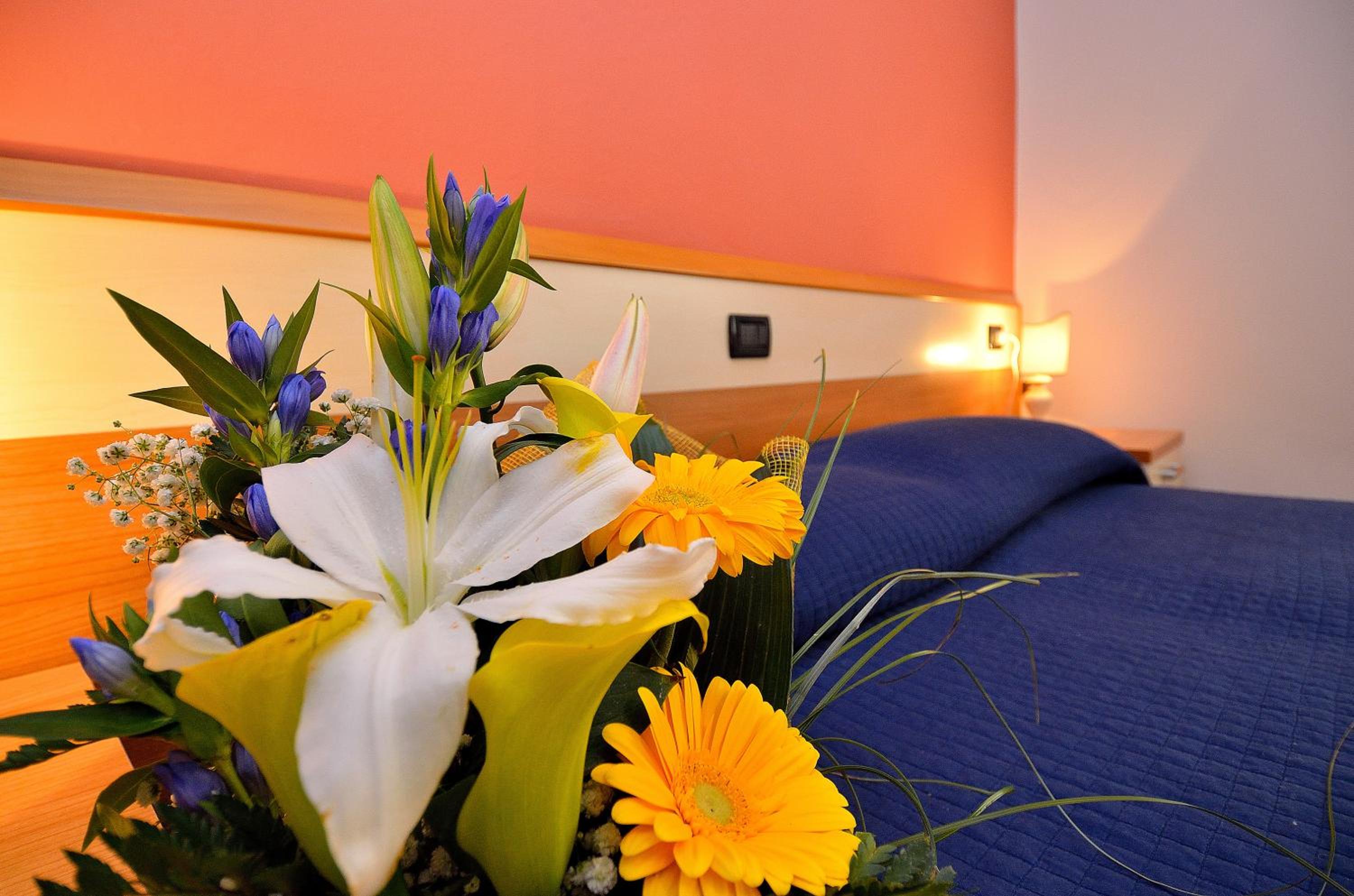 Deluxe Double or Twin Room photo 3