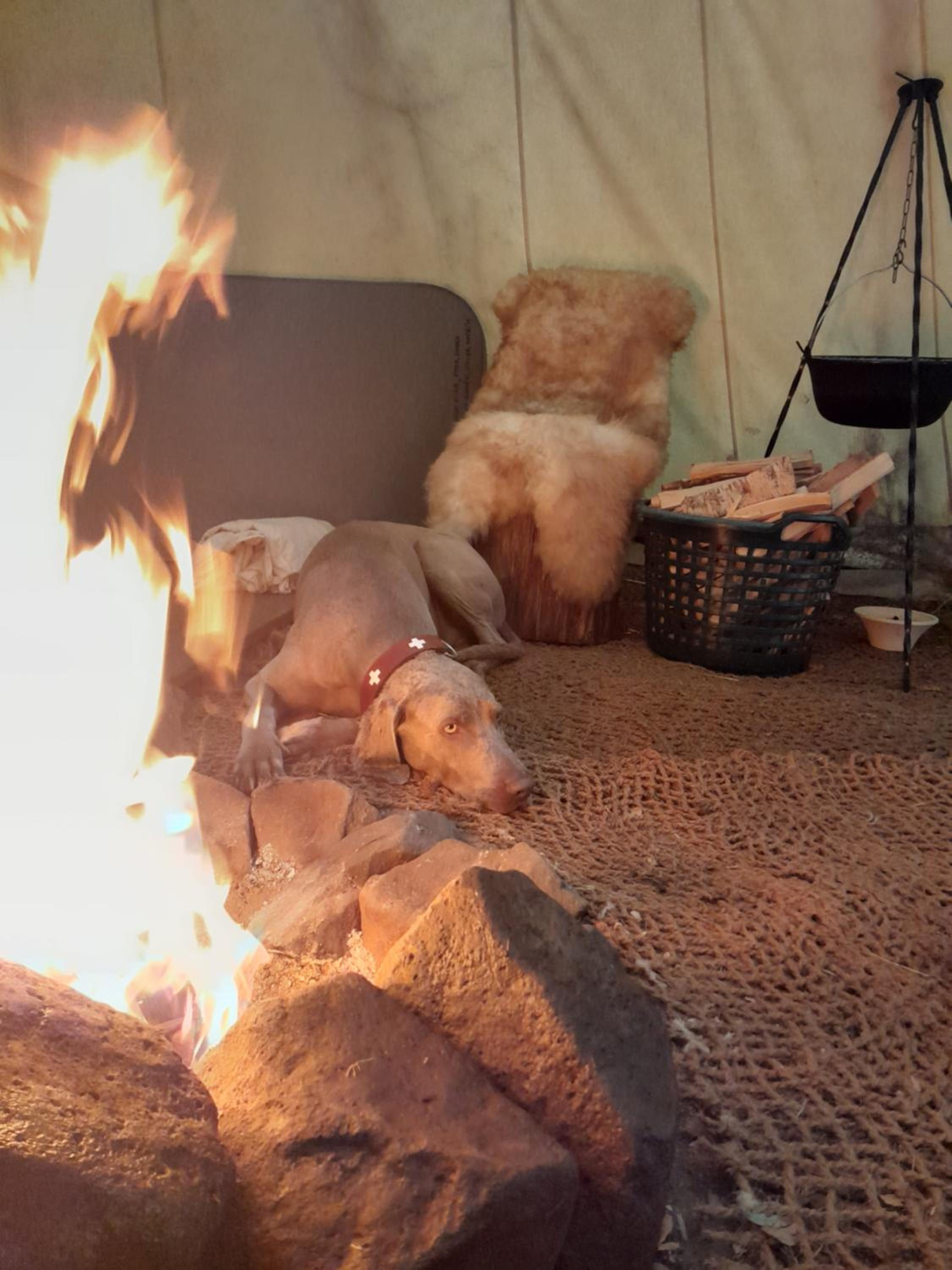 Indian Tent - Tepee photo 1