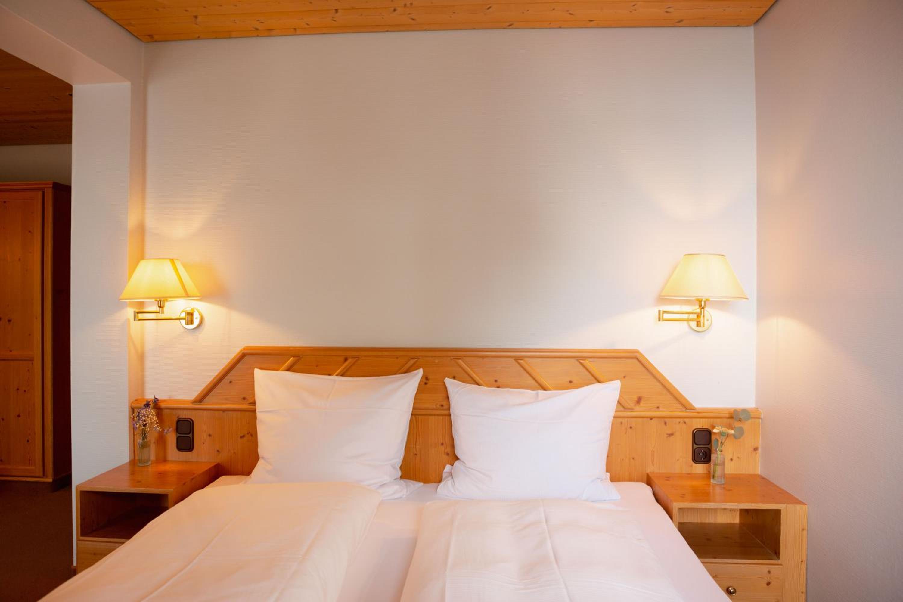 Large Double Room photo 2