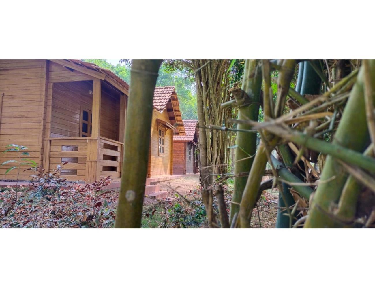 Cottage With Garden View photo 2