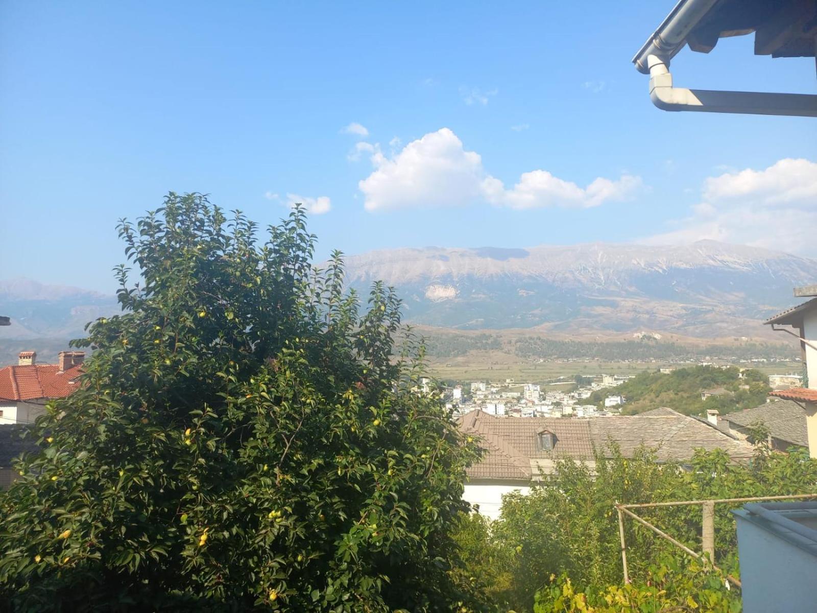 Double Room with Mountain View photo 2