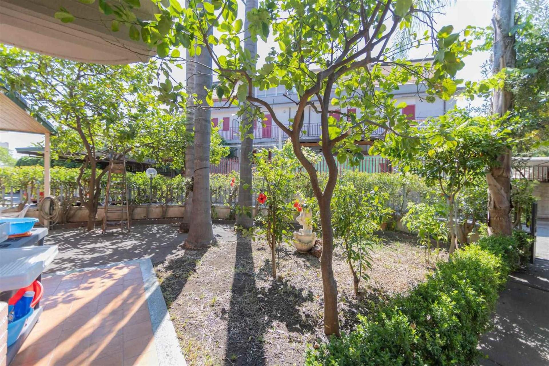 Apartment With Terrace photo 2