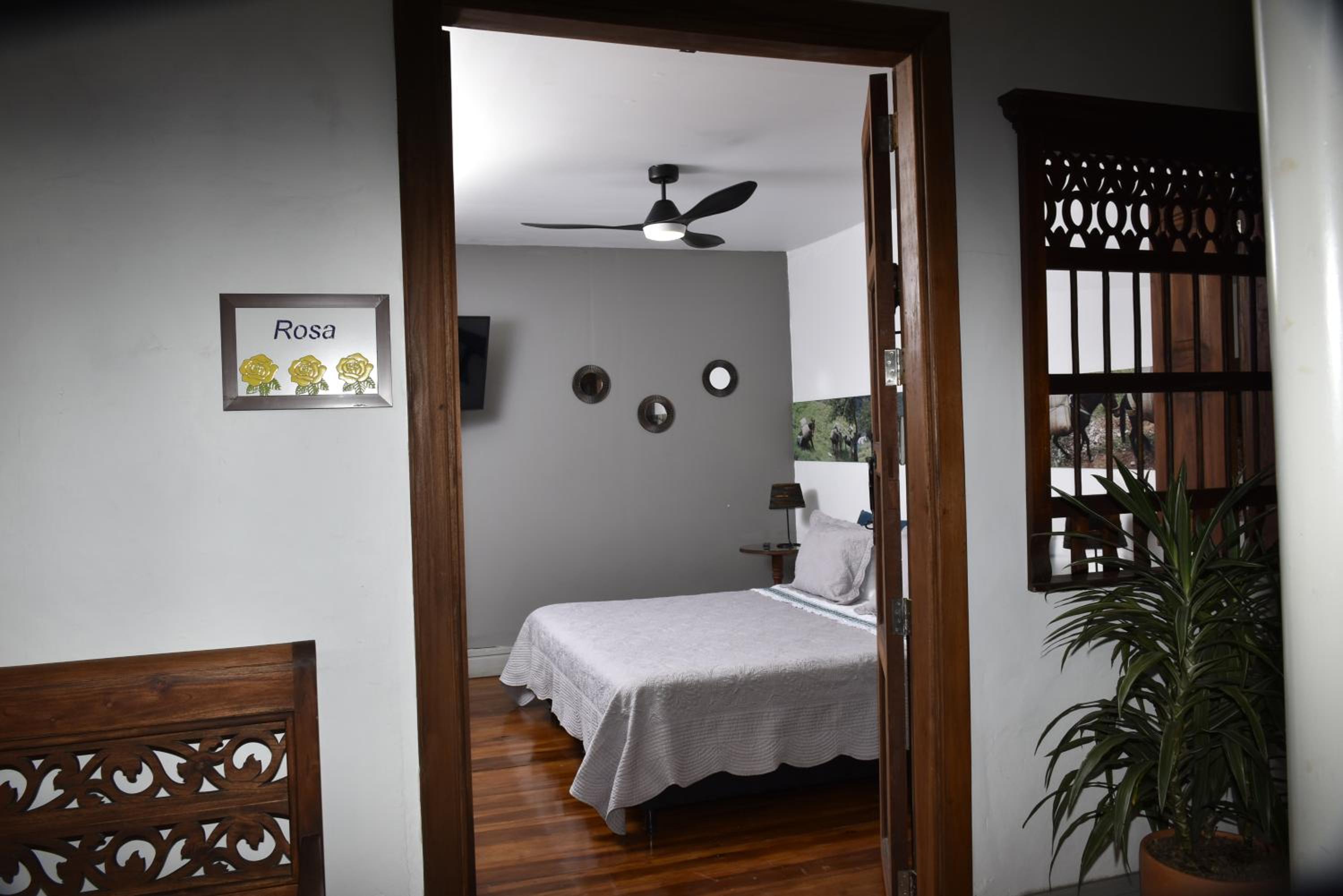Deluxe Studio