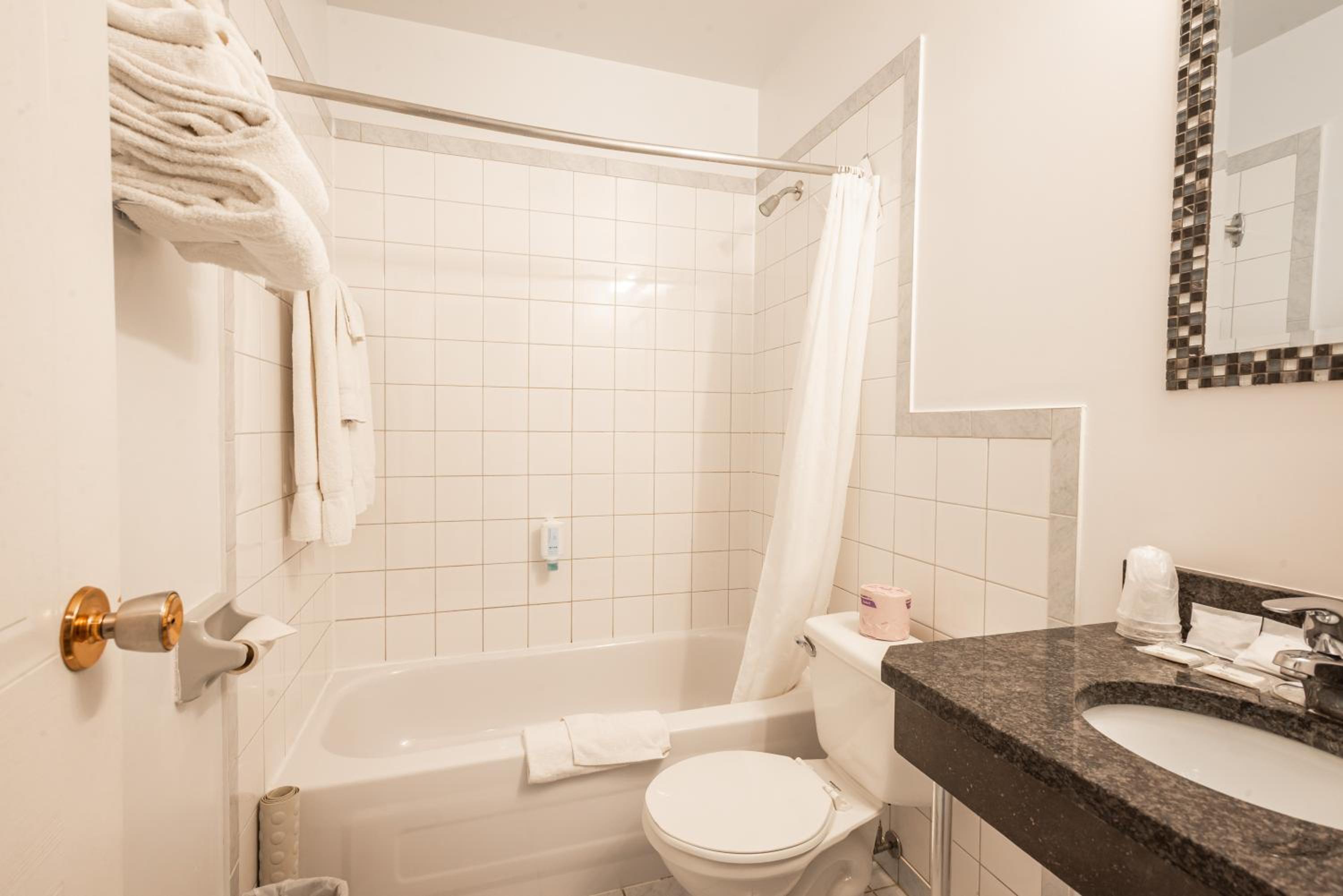 One-Bedroom Suite with Murphy bed - Photo 6