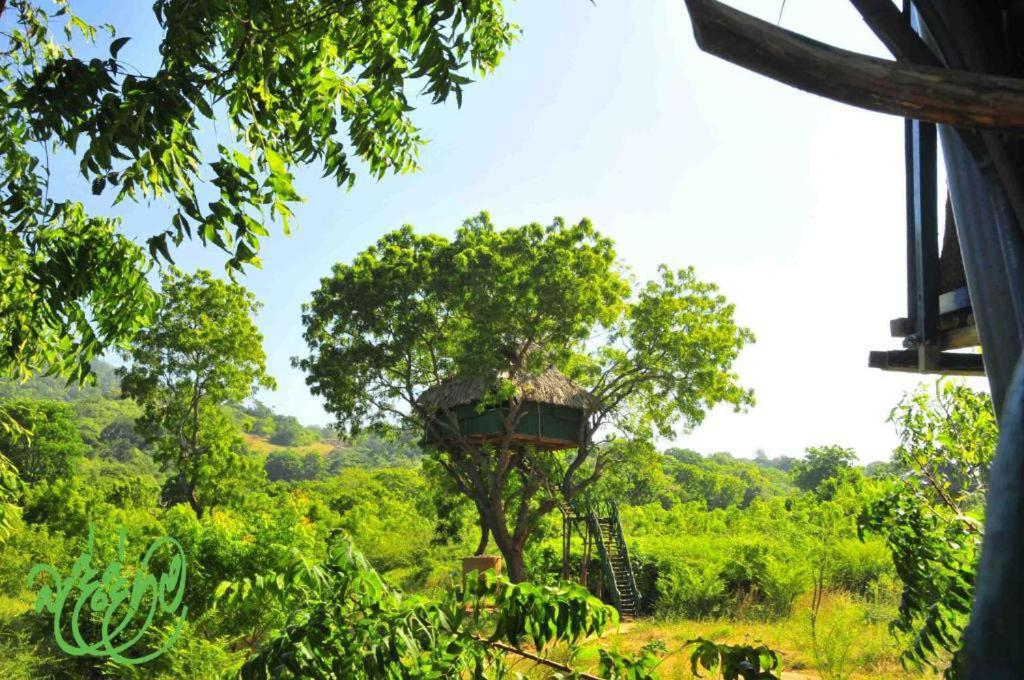 Tree House photo 2