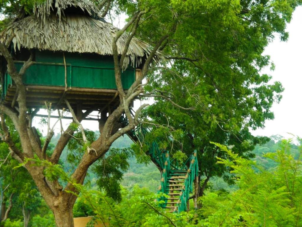 Tree House photo 3