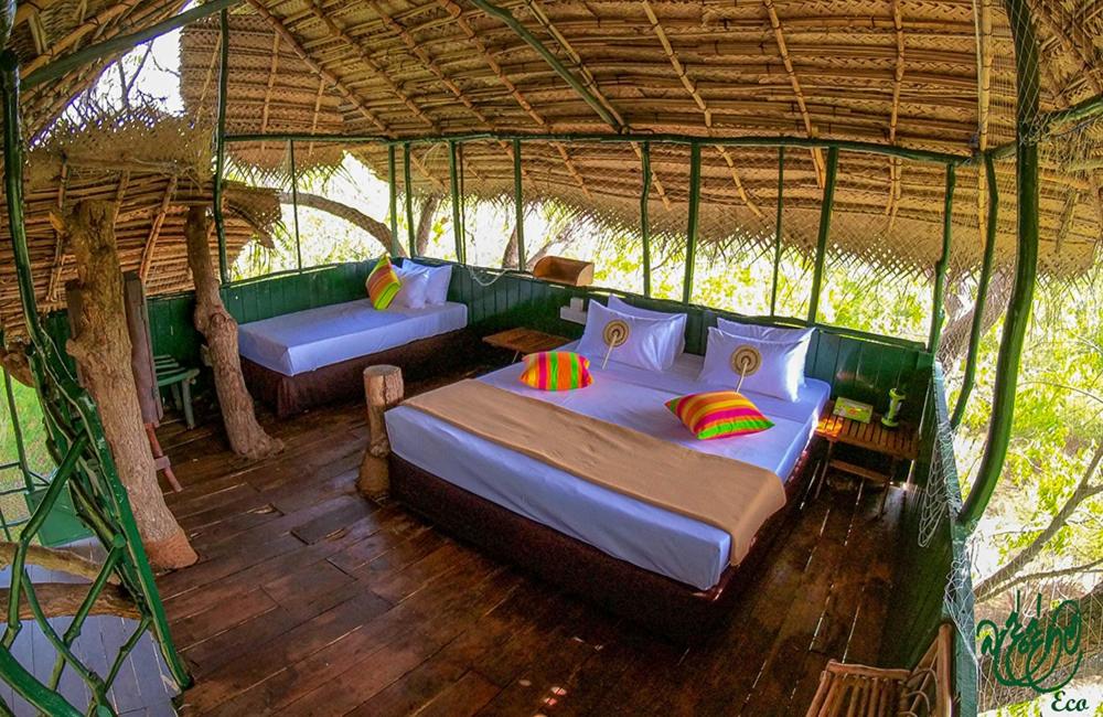 Tree House photo 1