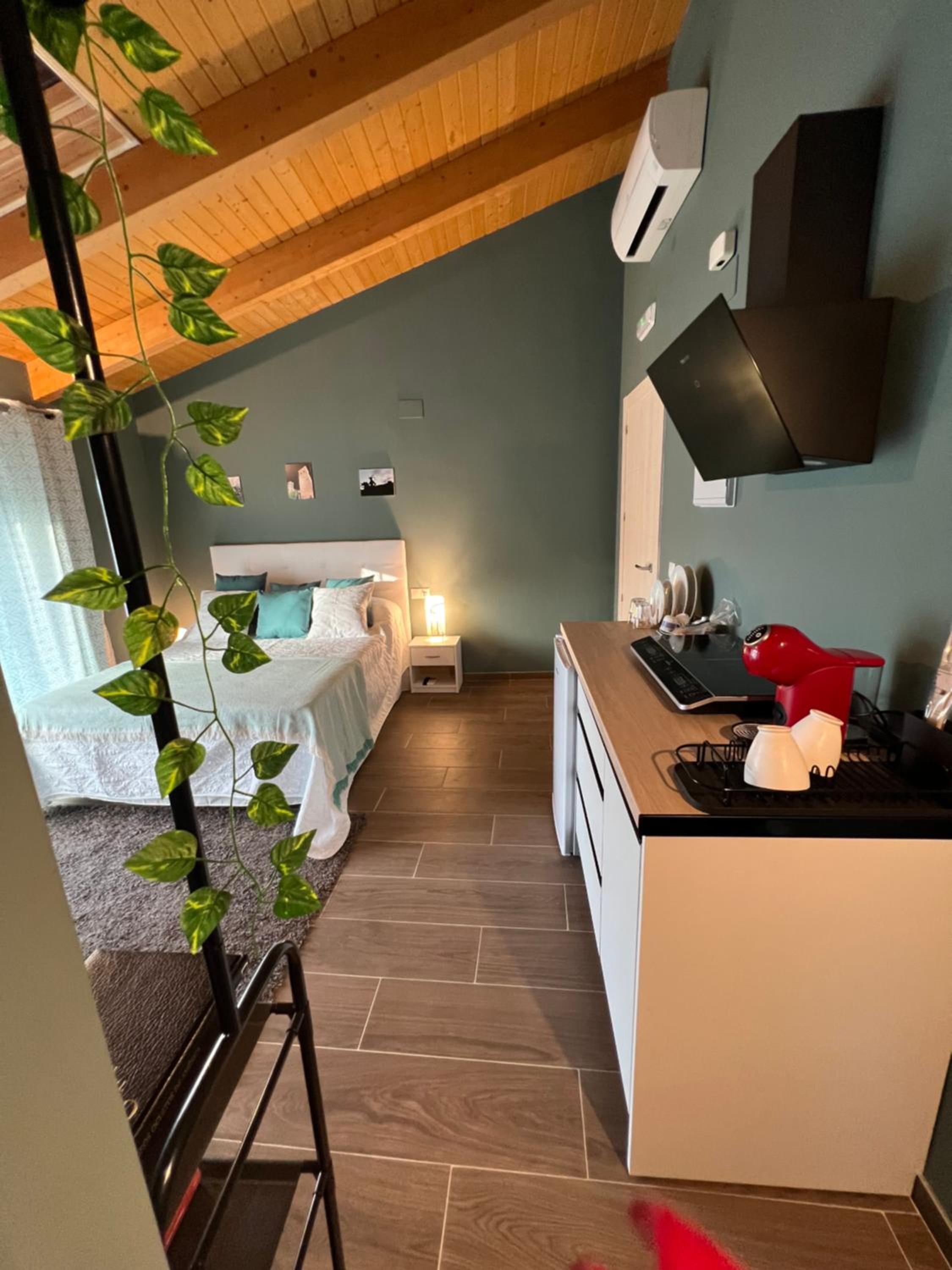 One-Bedroom Deluxe Apartment