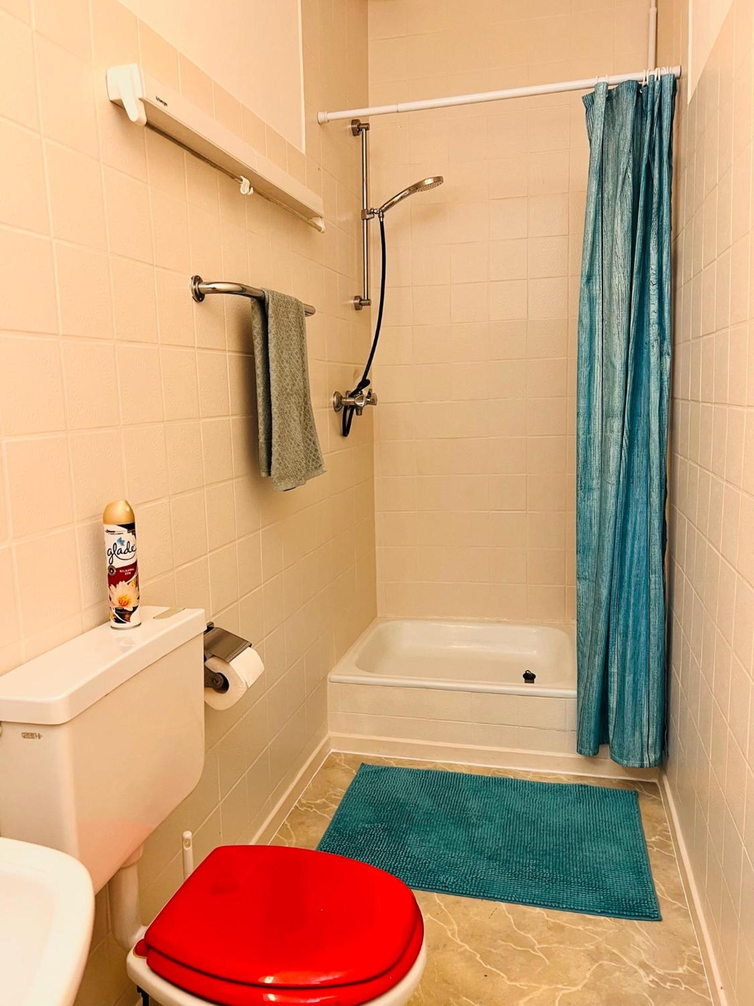 One-Bedroom Apartment photo 3