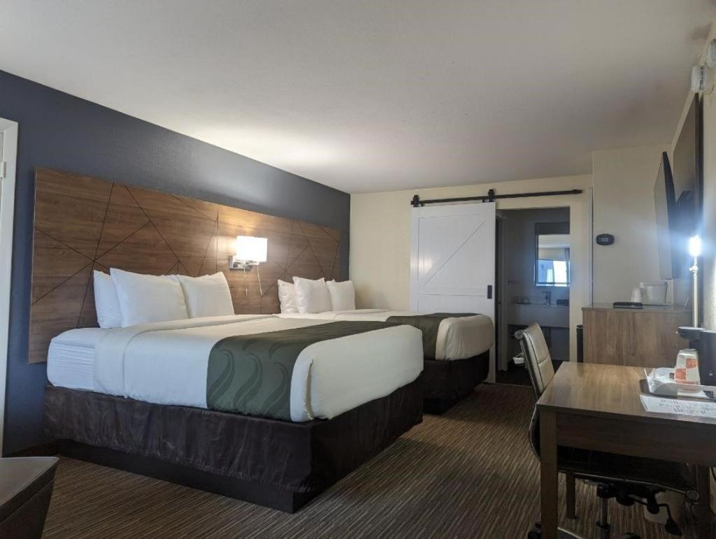 Queen Room with Two Queen Beds - Non-Smoking photo 2