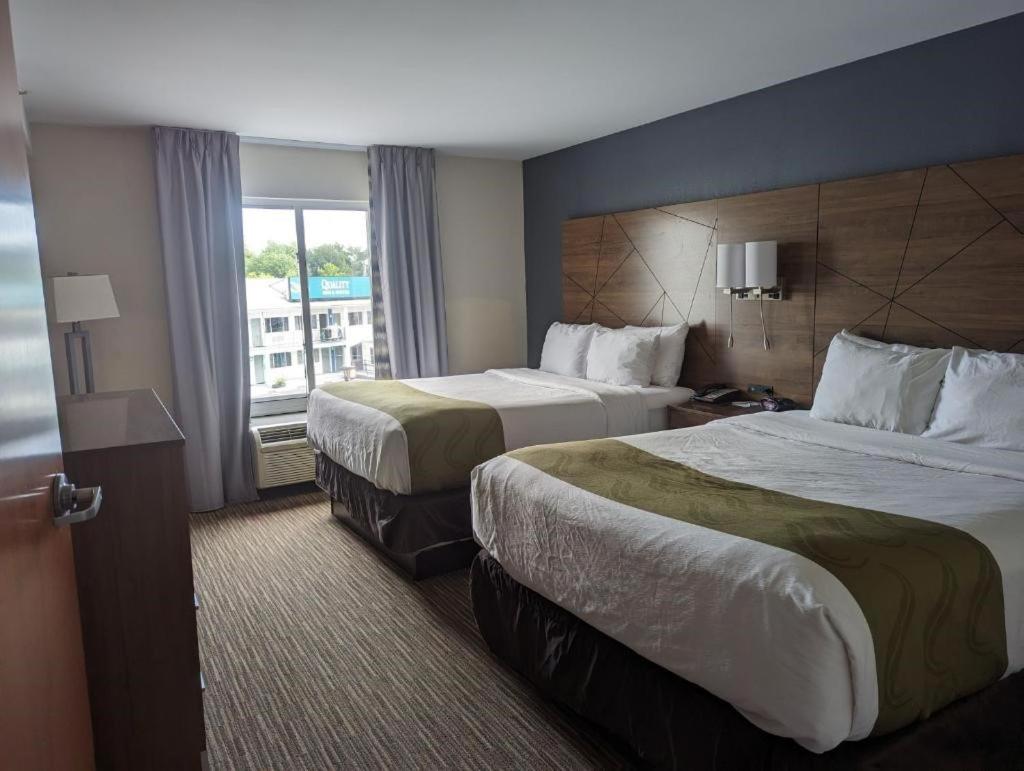 Queen Room with Two Queen Beds - Non-Smoking photo 1