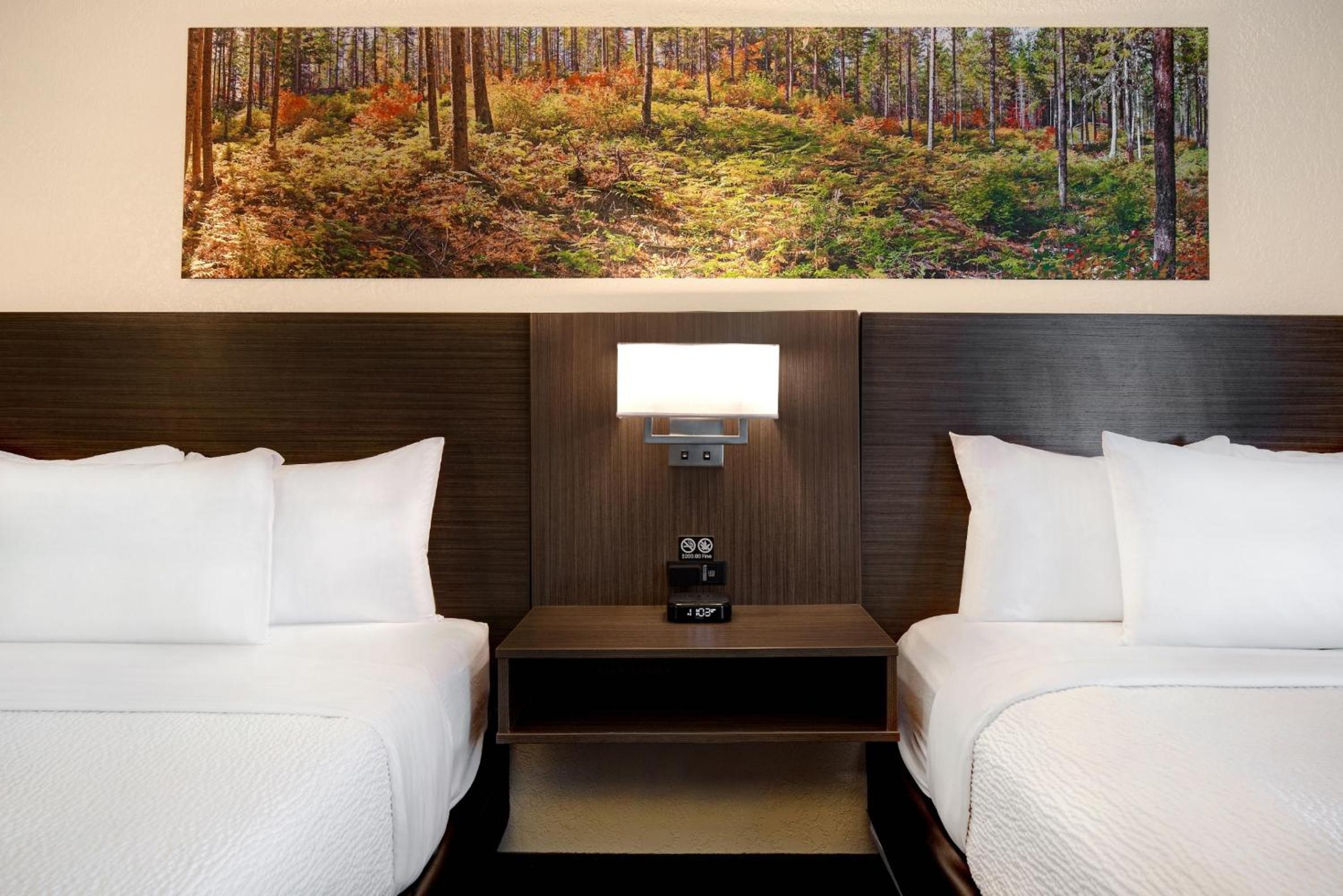 Queen Room with Two Queen Beds, Mobility Access and Bathtub with Grab Bars, Non-Smoking photo 3