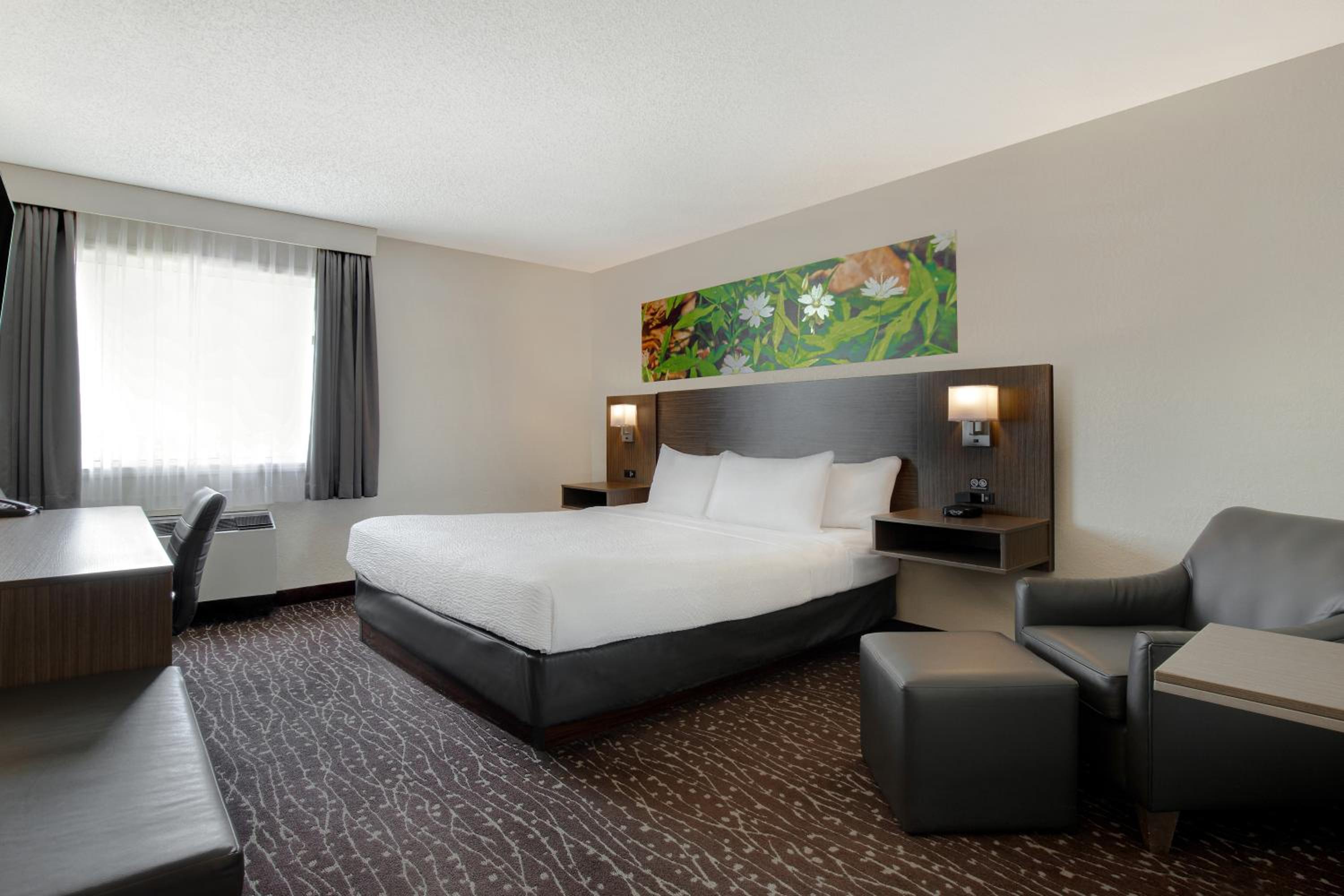 King Room - Non-Smoking photo 2