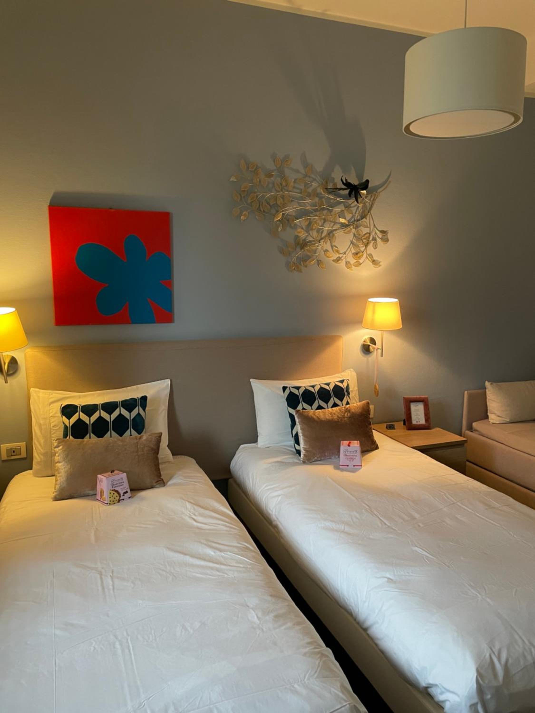Deluxe Double or Twin Room photo 1