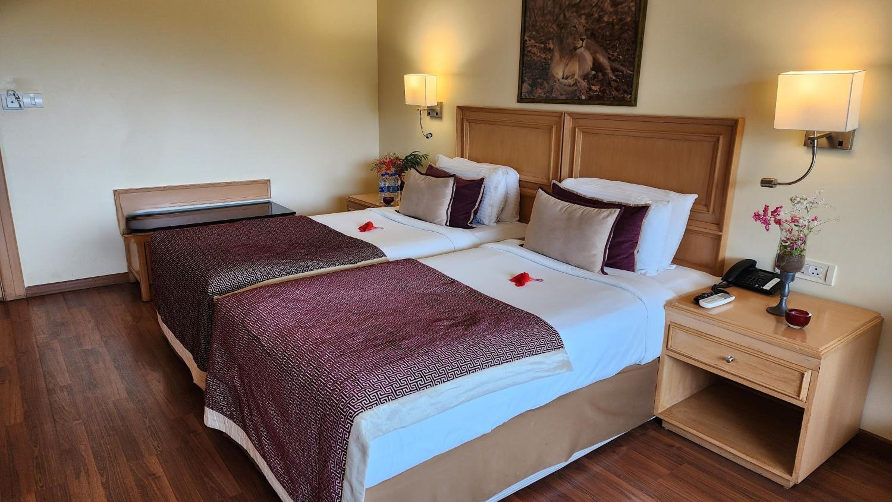 Superior Twin Room - Photo 5