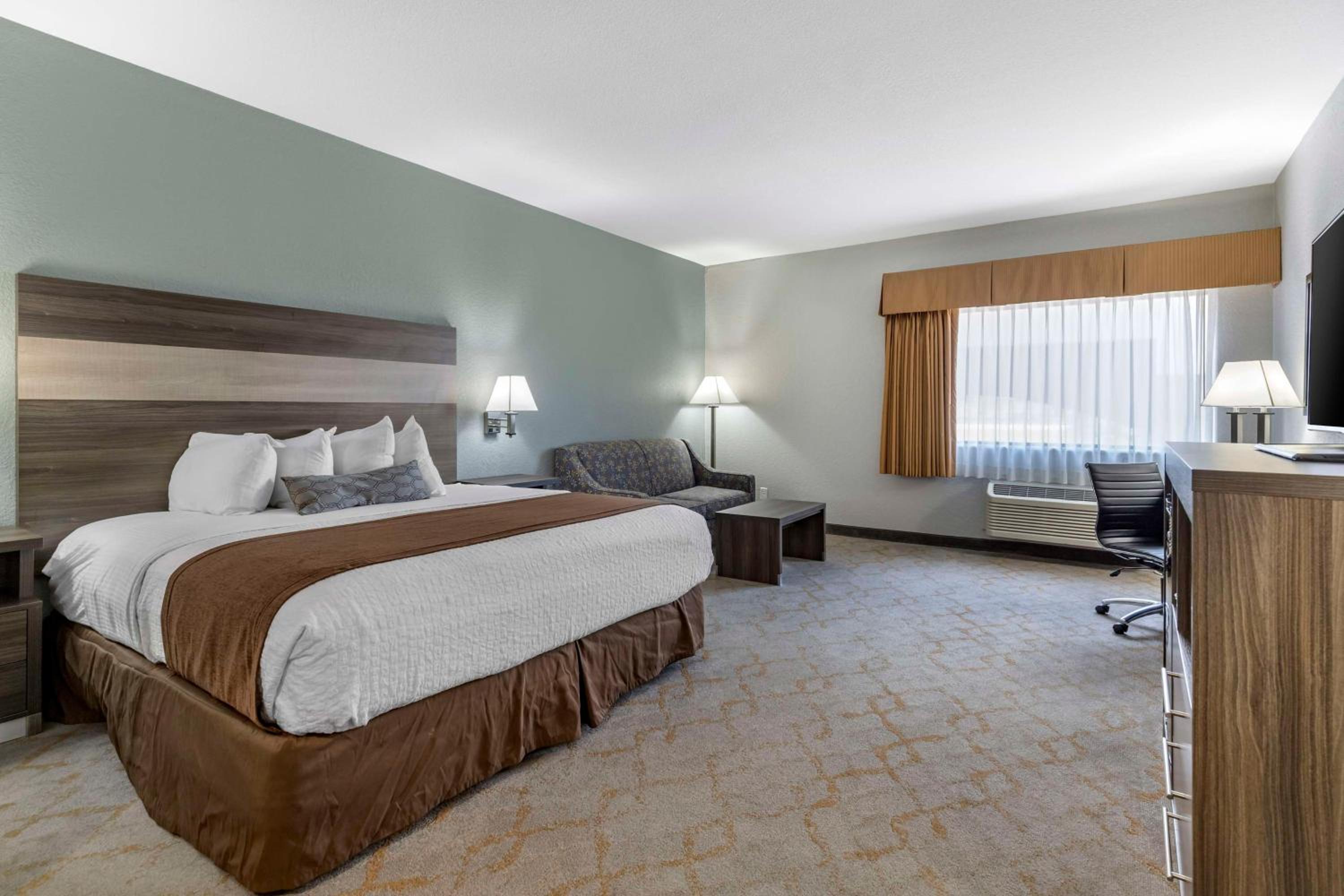King Suite photo 1