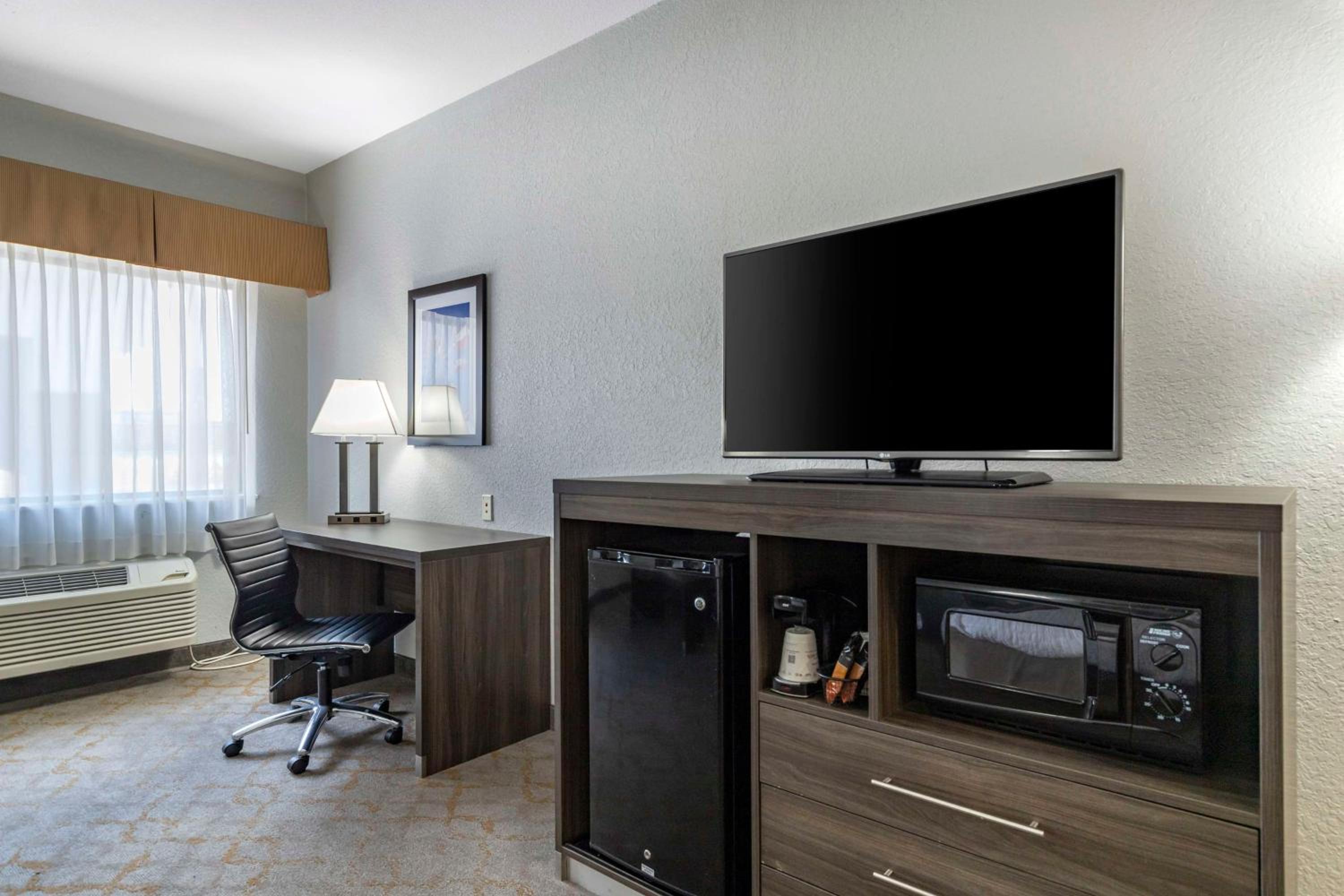 King Suite photo 3