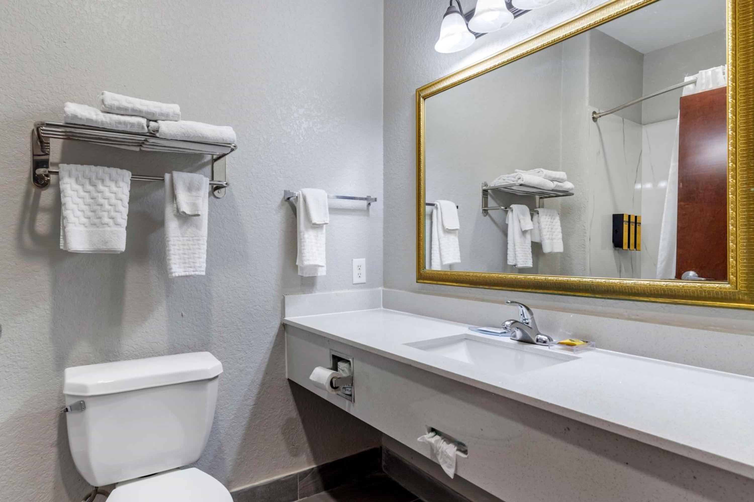 King Suite photo 2