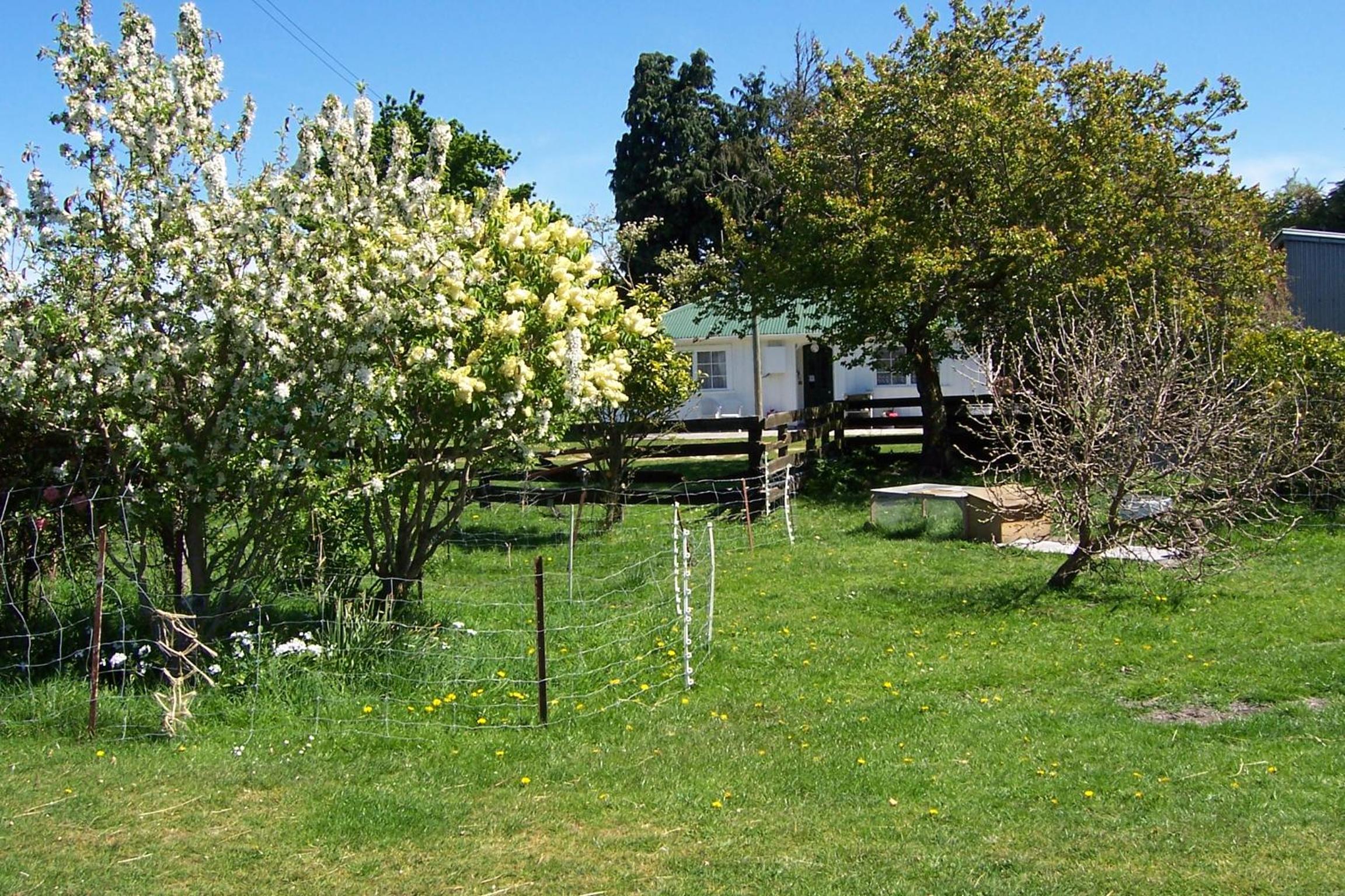 Two-Bedroom Cottage photo 1