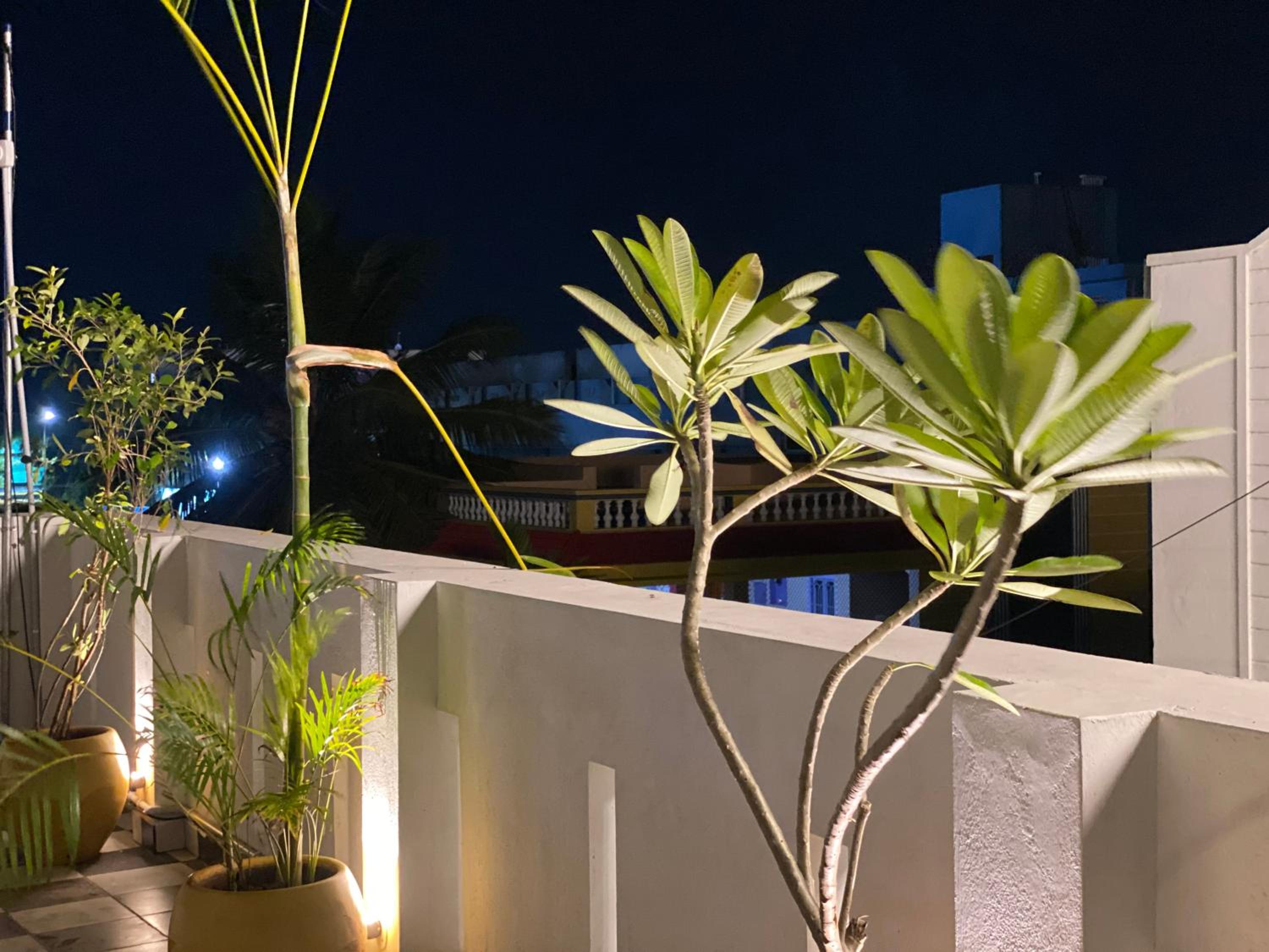 Double Room with Terrace - Photo 14