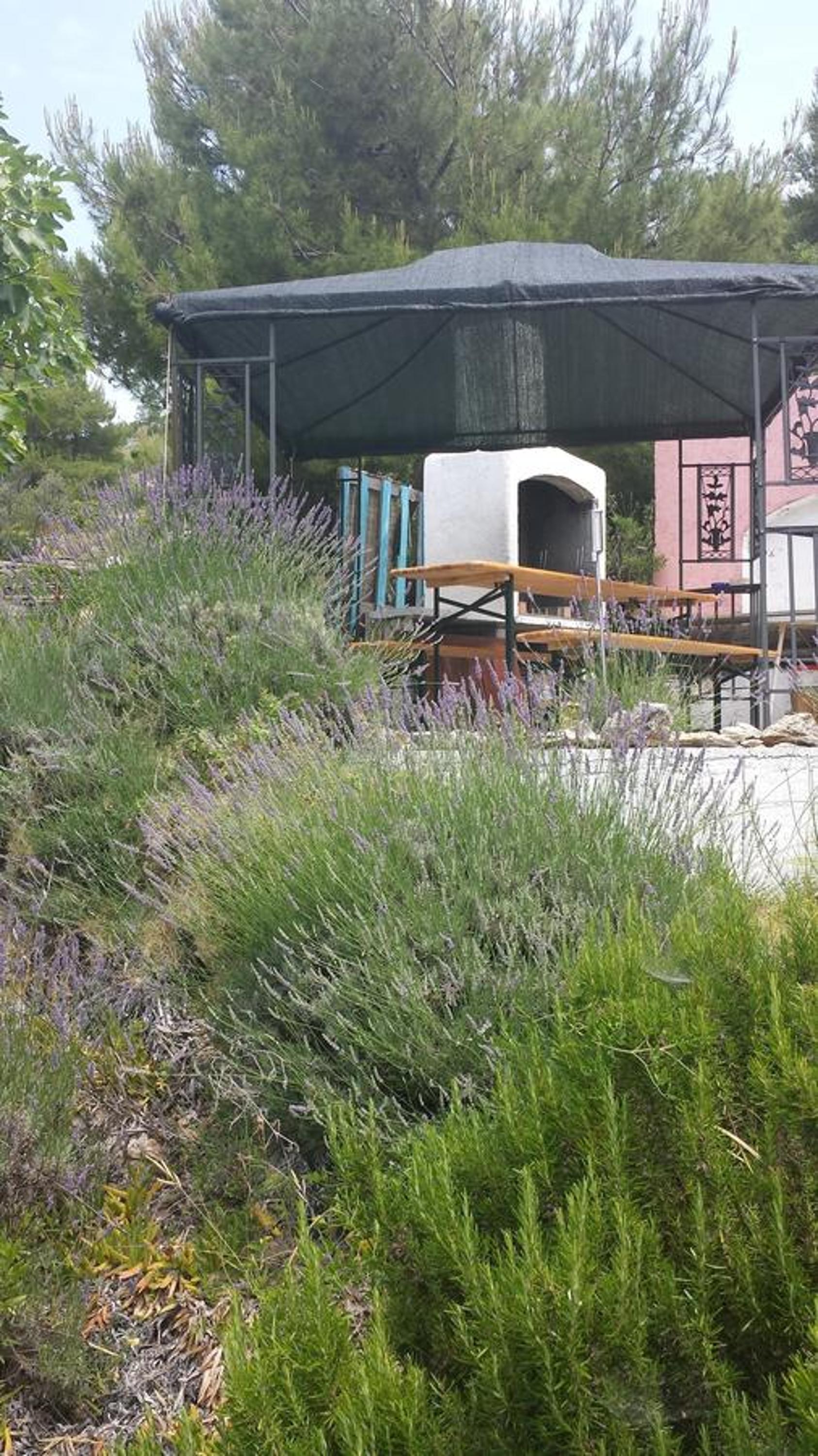 Vacation Home photo 2