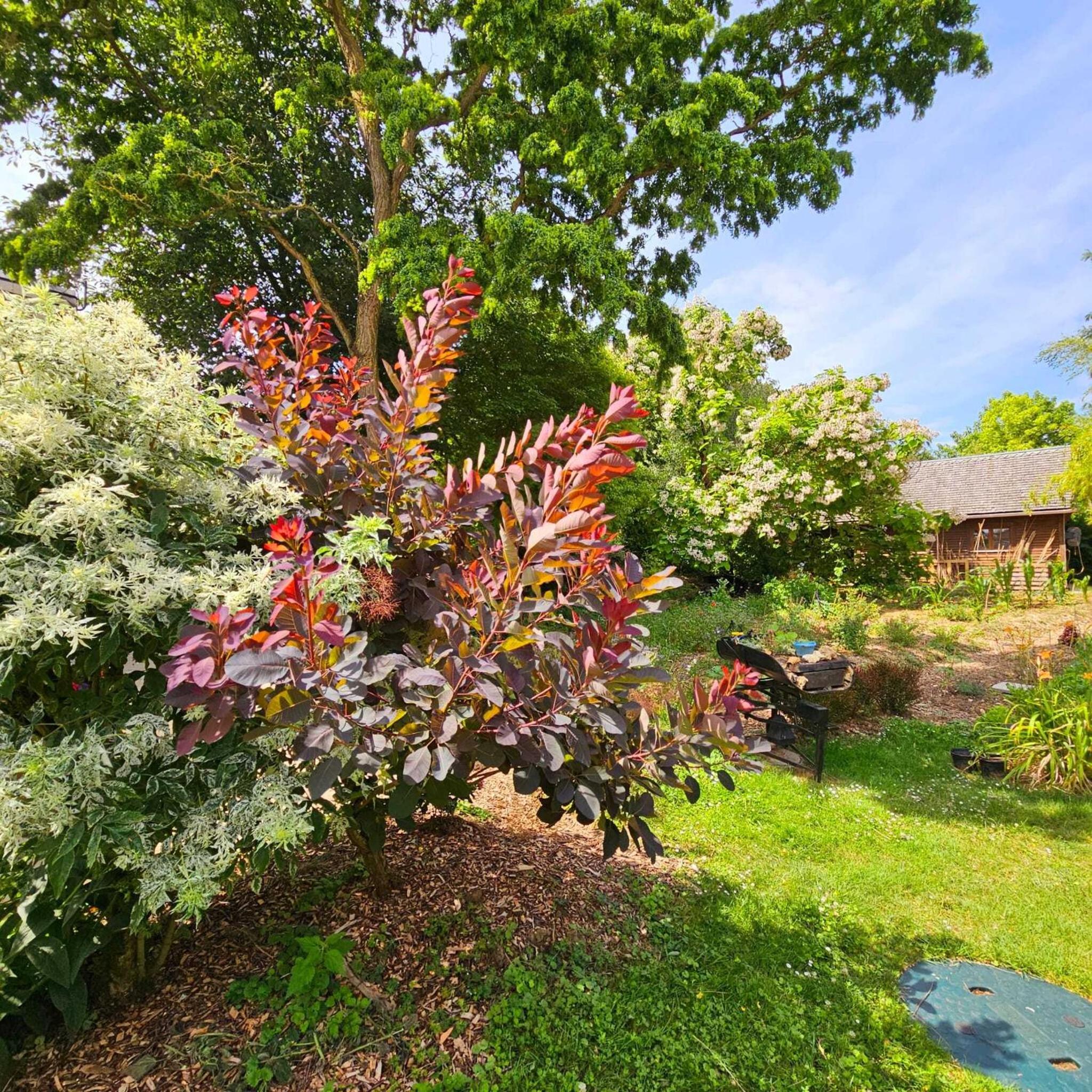 Cottage - Photo 3