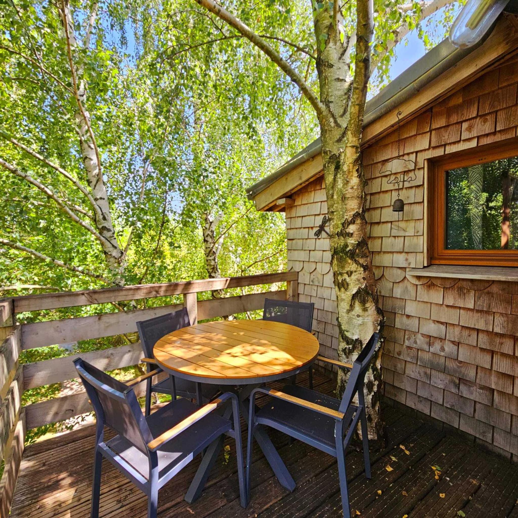 Perched Tree house - L'Ours Brun - Photo 13
