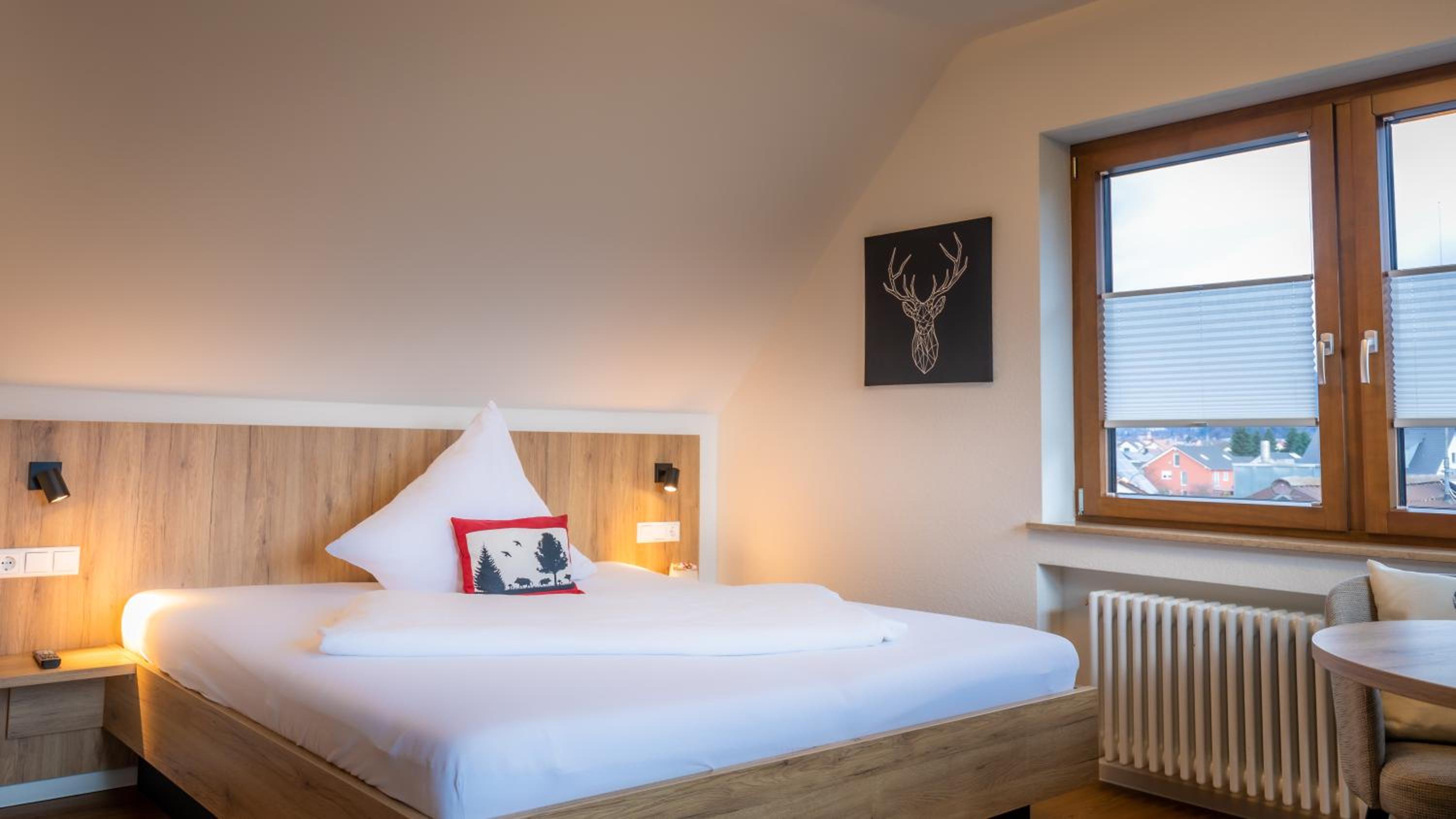 Large Single Room