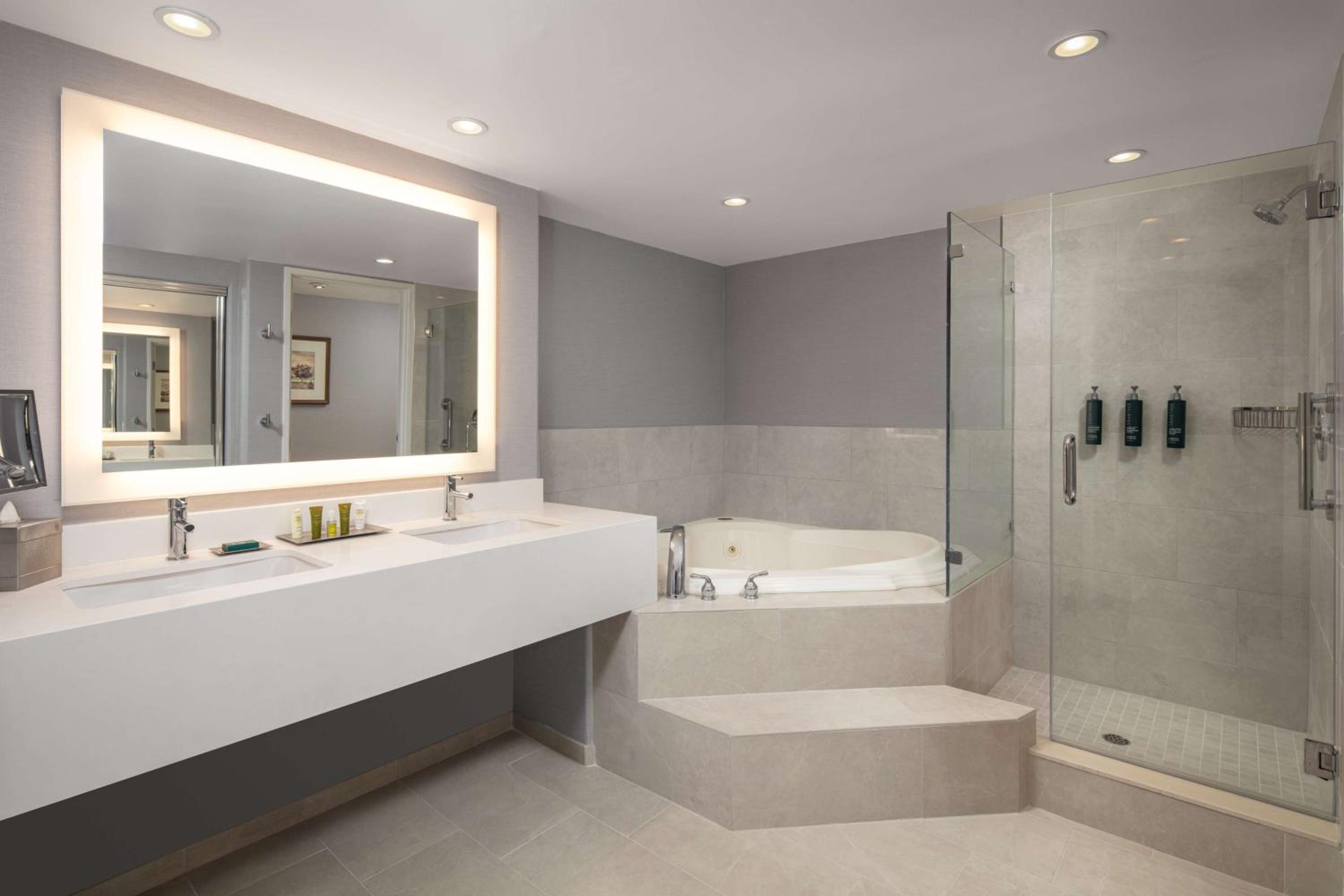 One-Bedroom Presidential King Suite photo 3